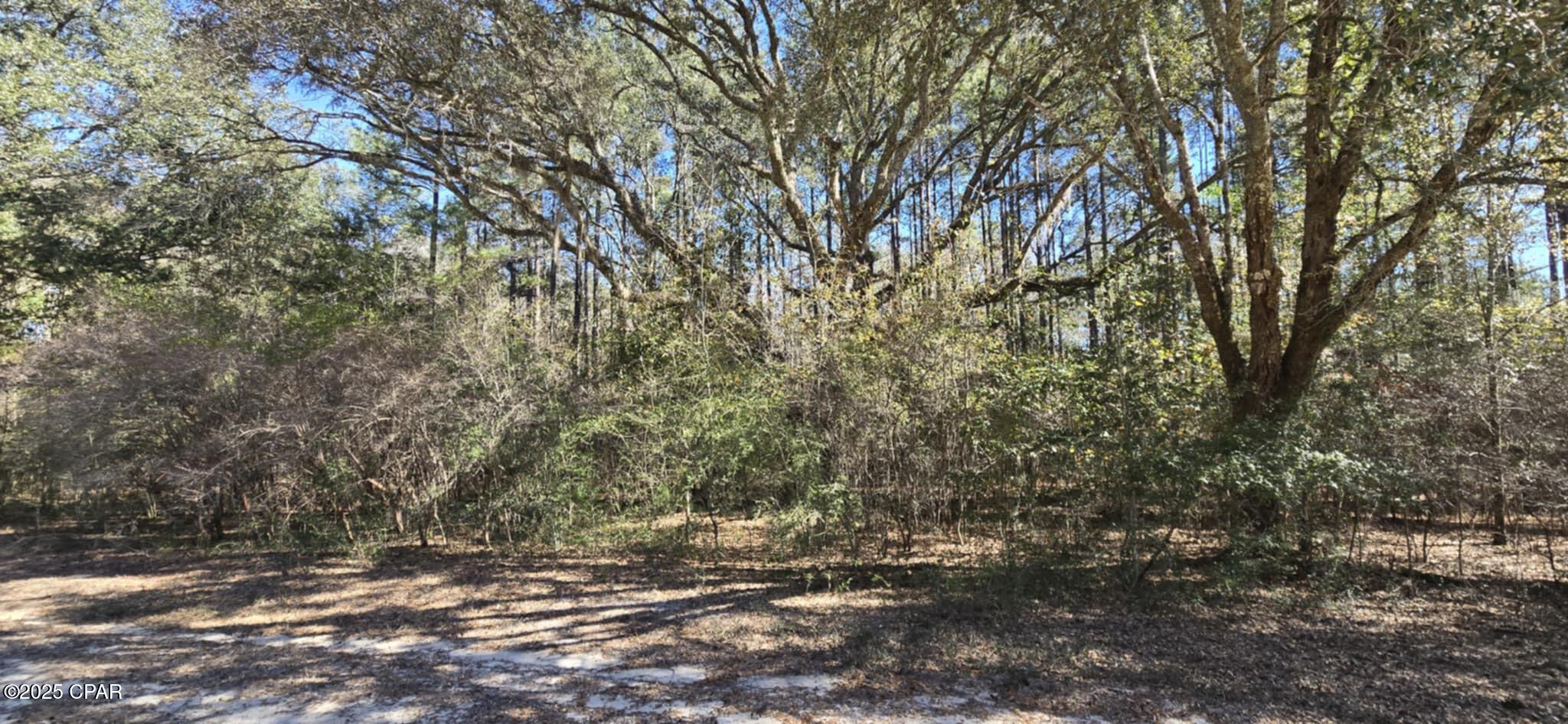 00 Canopy Oak Blvd, Bonifay, Florida image 4