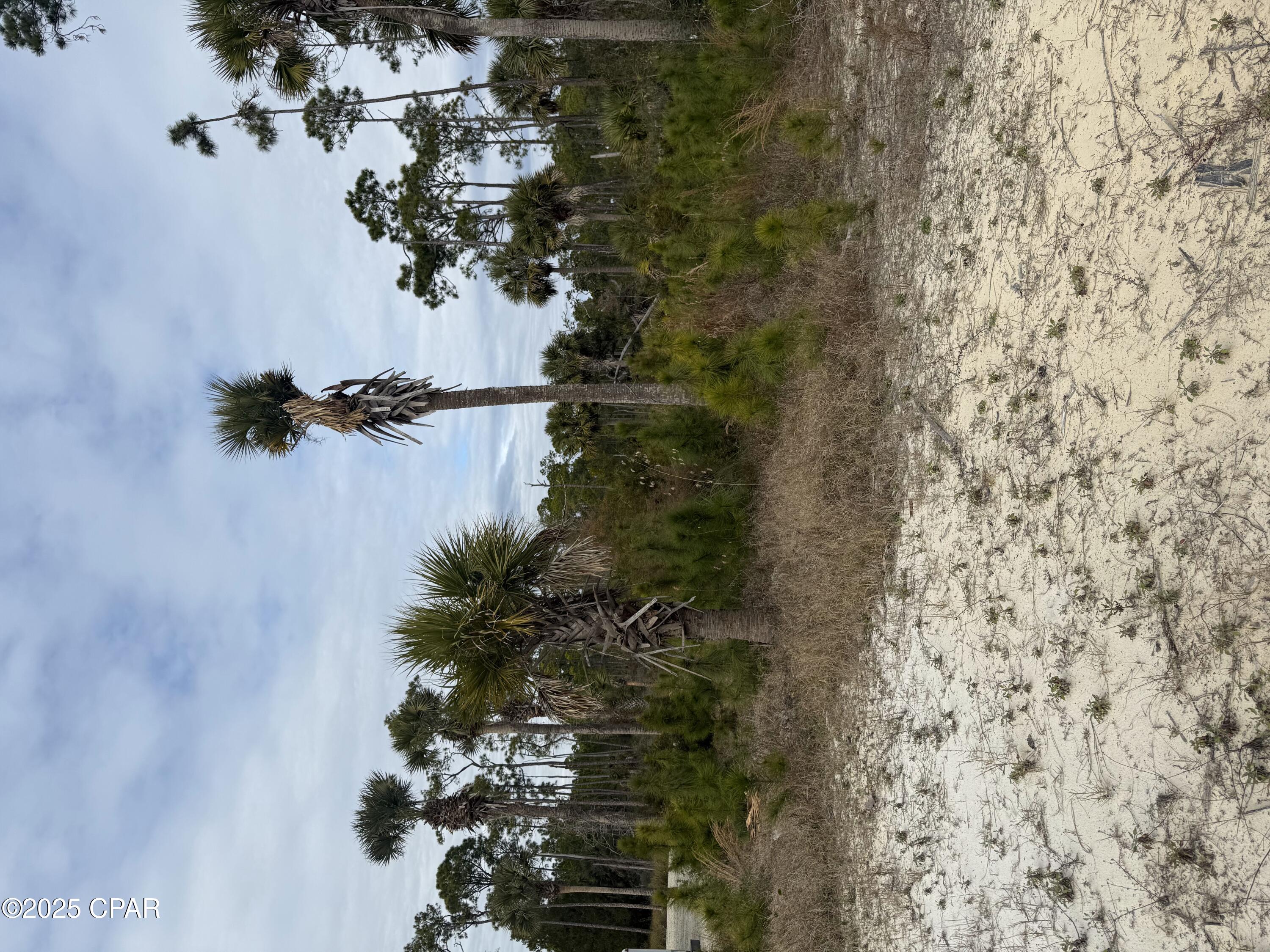 Photo of 7951 CR 30A Port St. Joe FL 32456