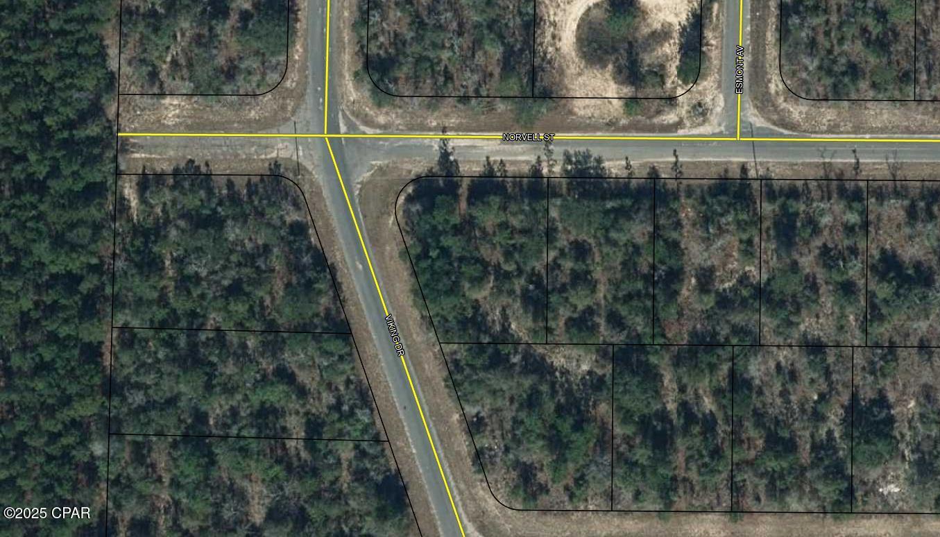 Details for Lot 1 Norvell Street, Chipley, FL 32428