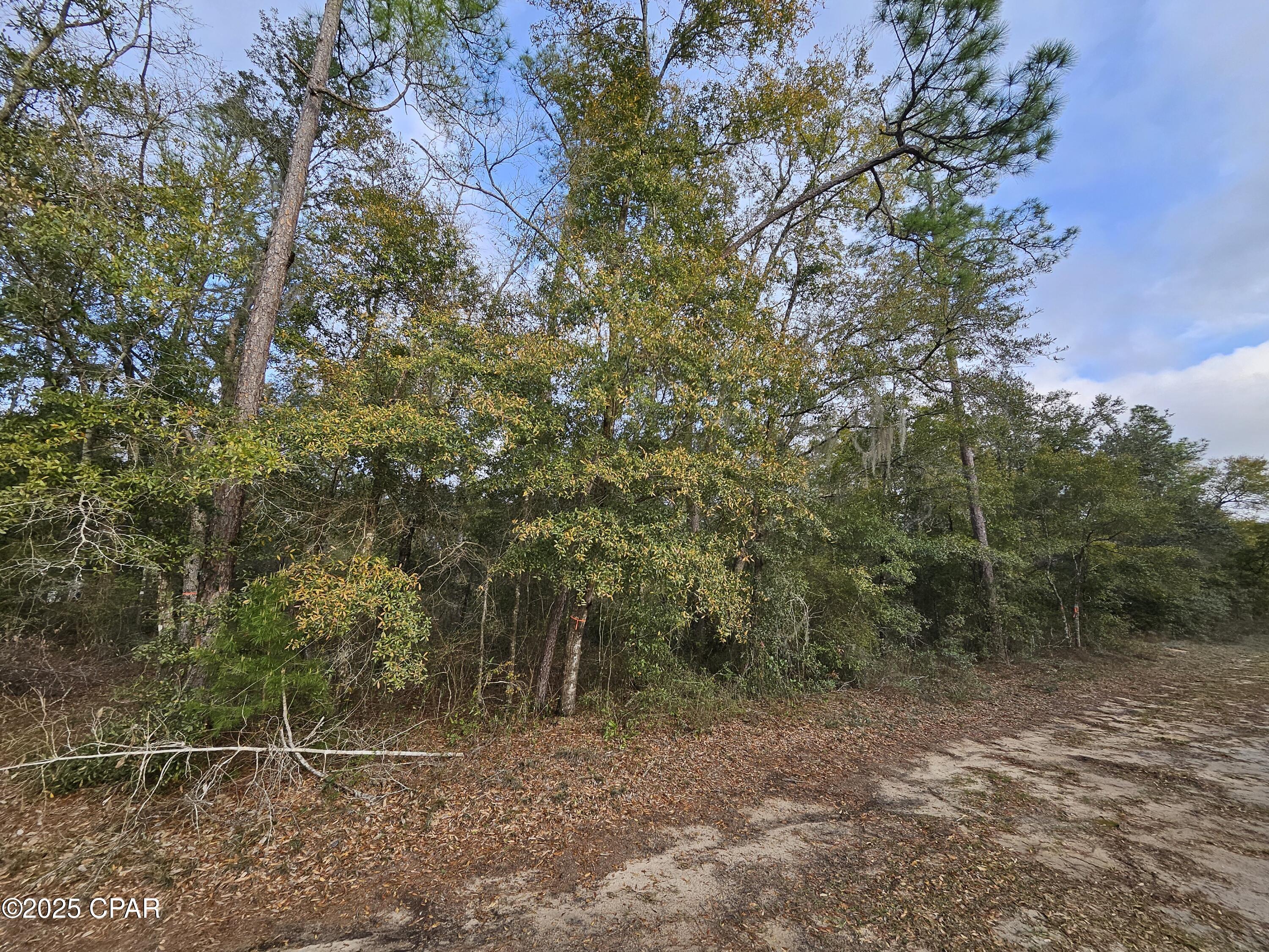 Image 2 For Tbd Paradise Lakes Road