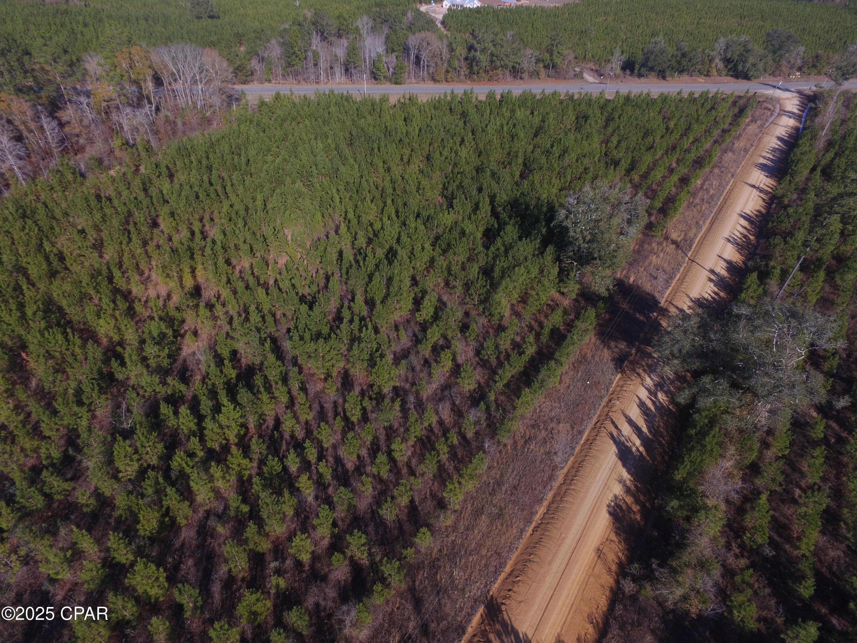 Details for Tbd Lot 1 Peanut Road, Cottondale, FL 32431