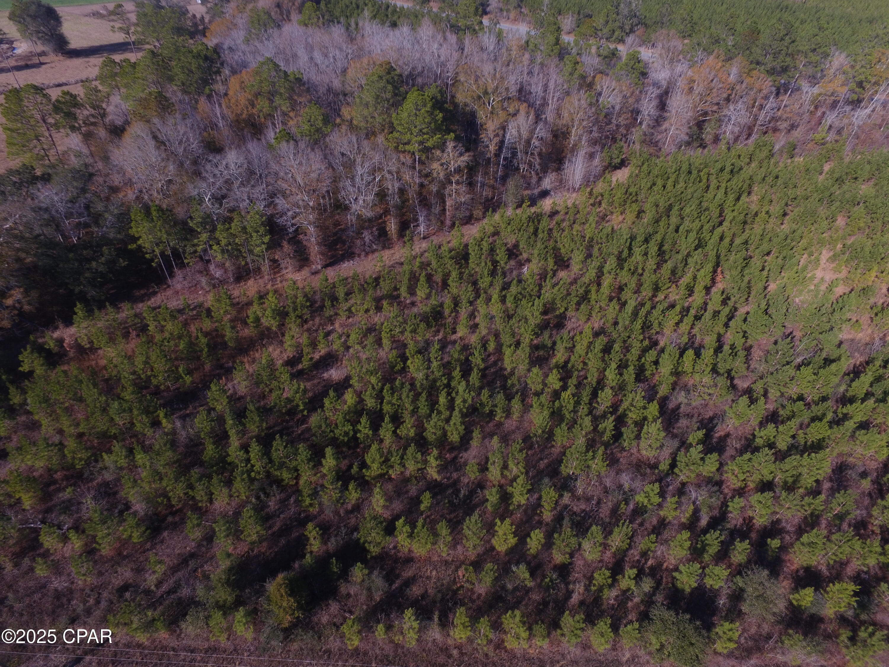 Image 12 For Tbd Lot 1 Peanut Road