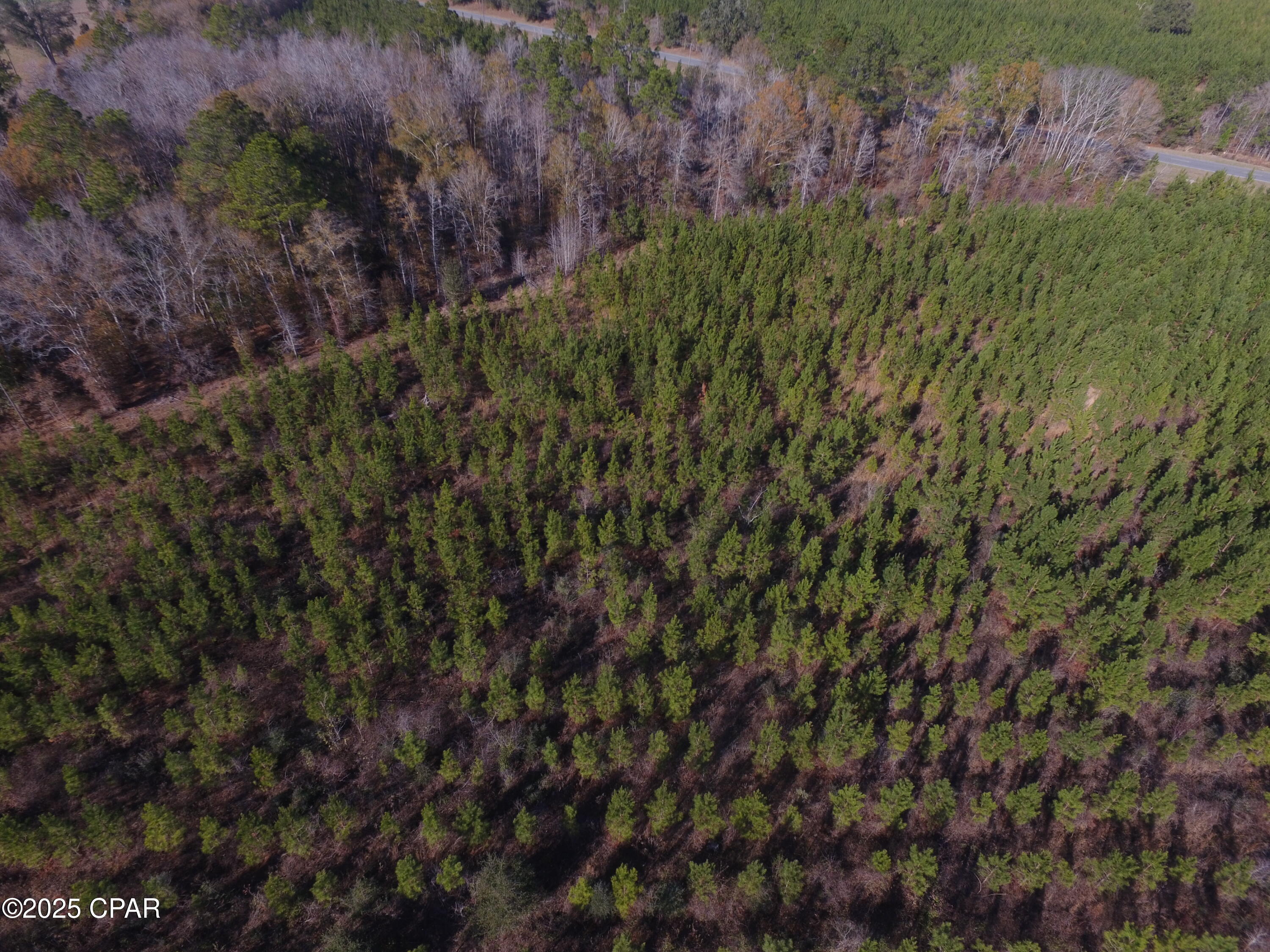Image 13 For Tbd Lot 1 Peanut Road