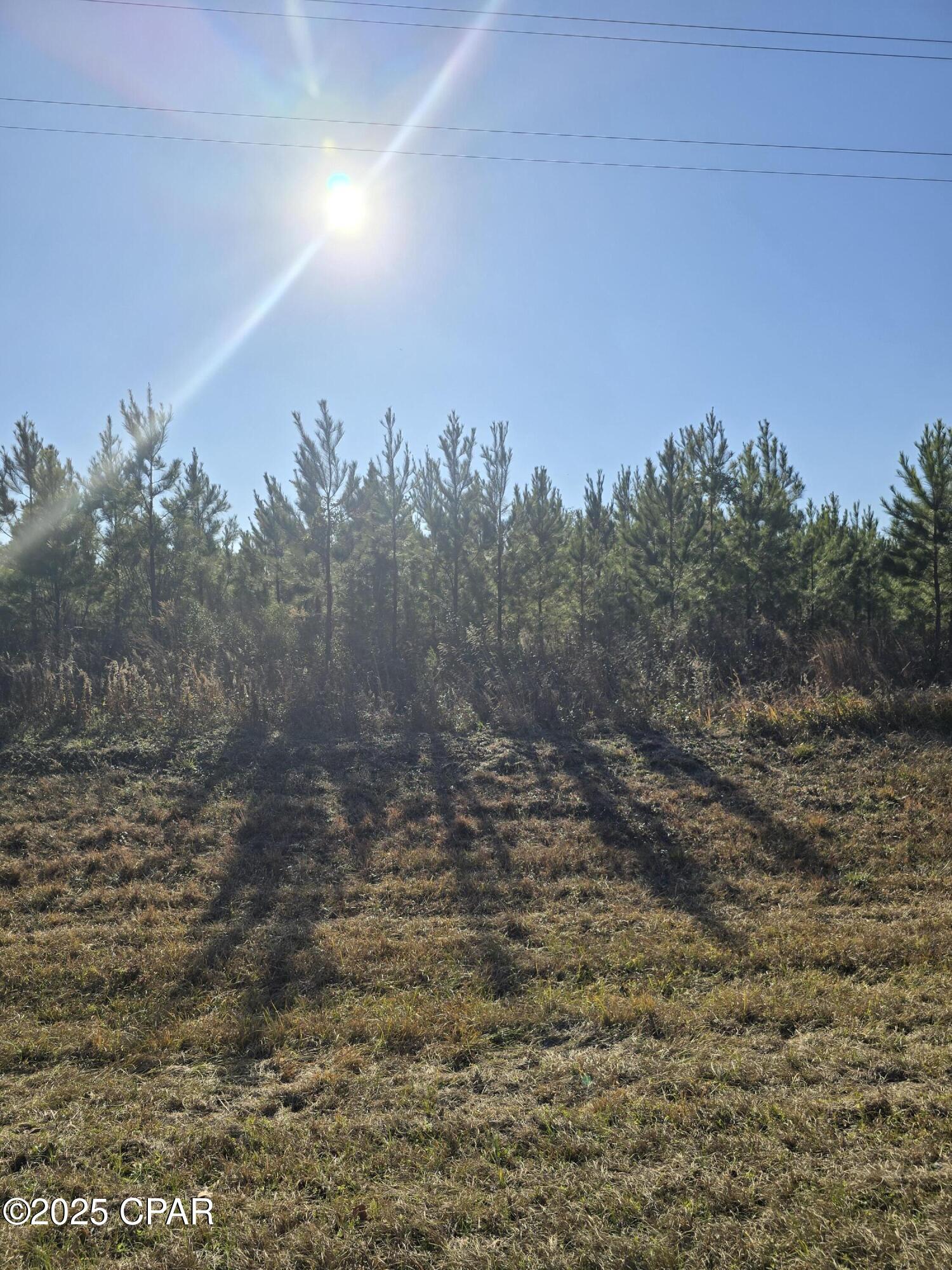 Image 4 For Tbd Lot 1 Peanut Road