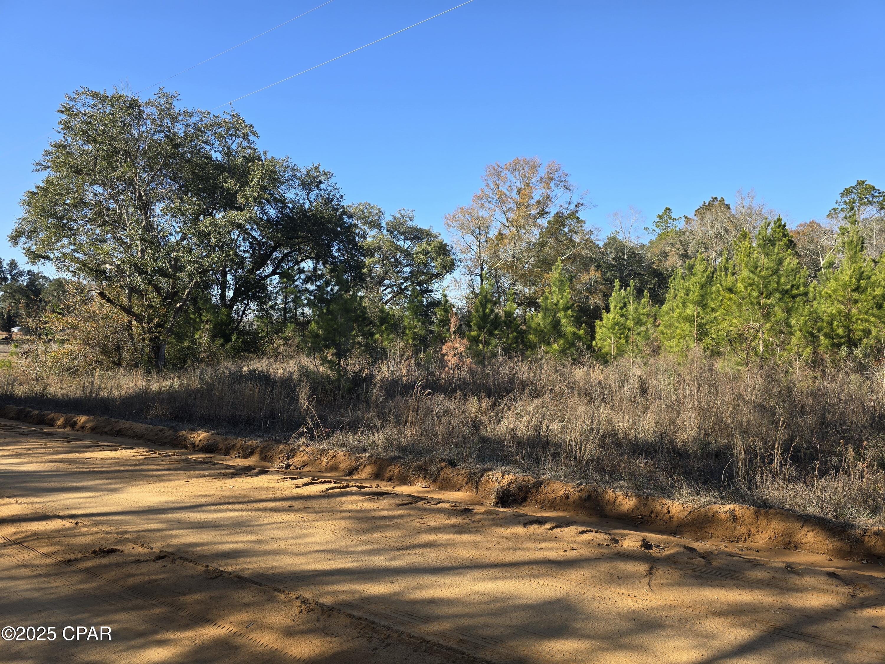 Image 7 For Tbd Lot 1 Peanut Road