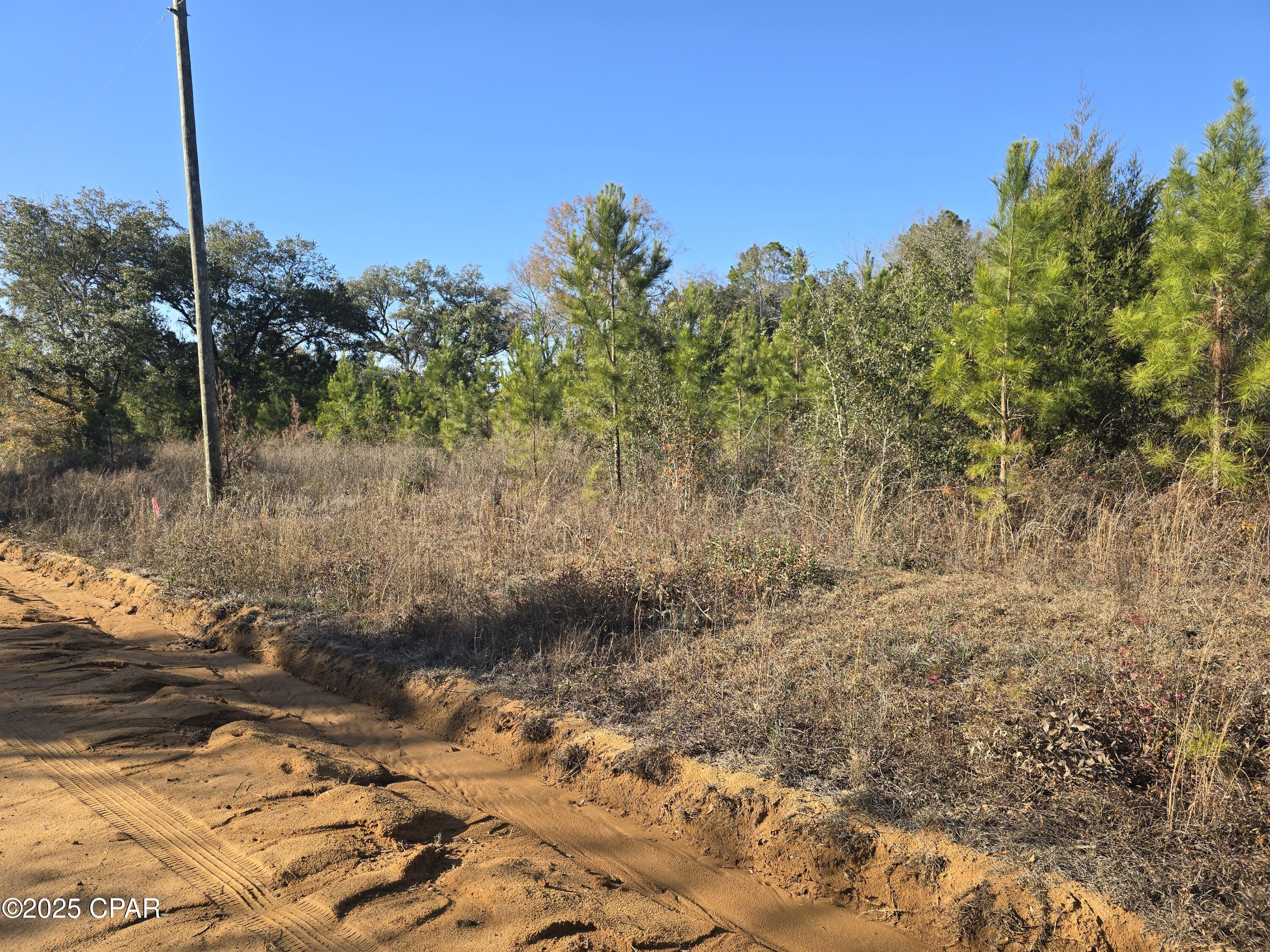 Image 10 For Tbd Lot 2 Peanut Road