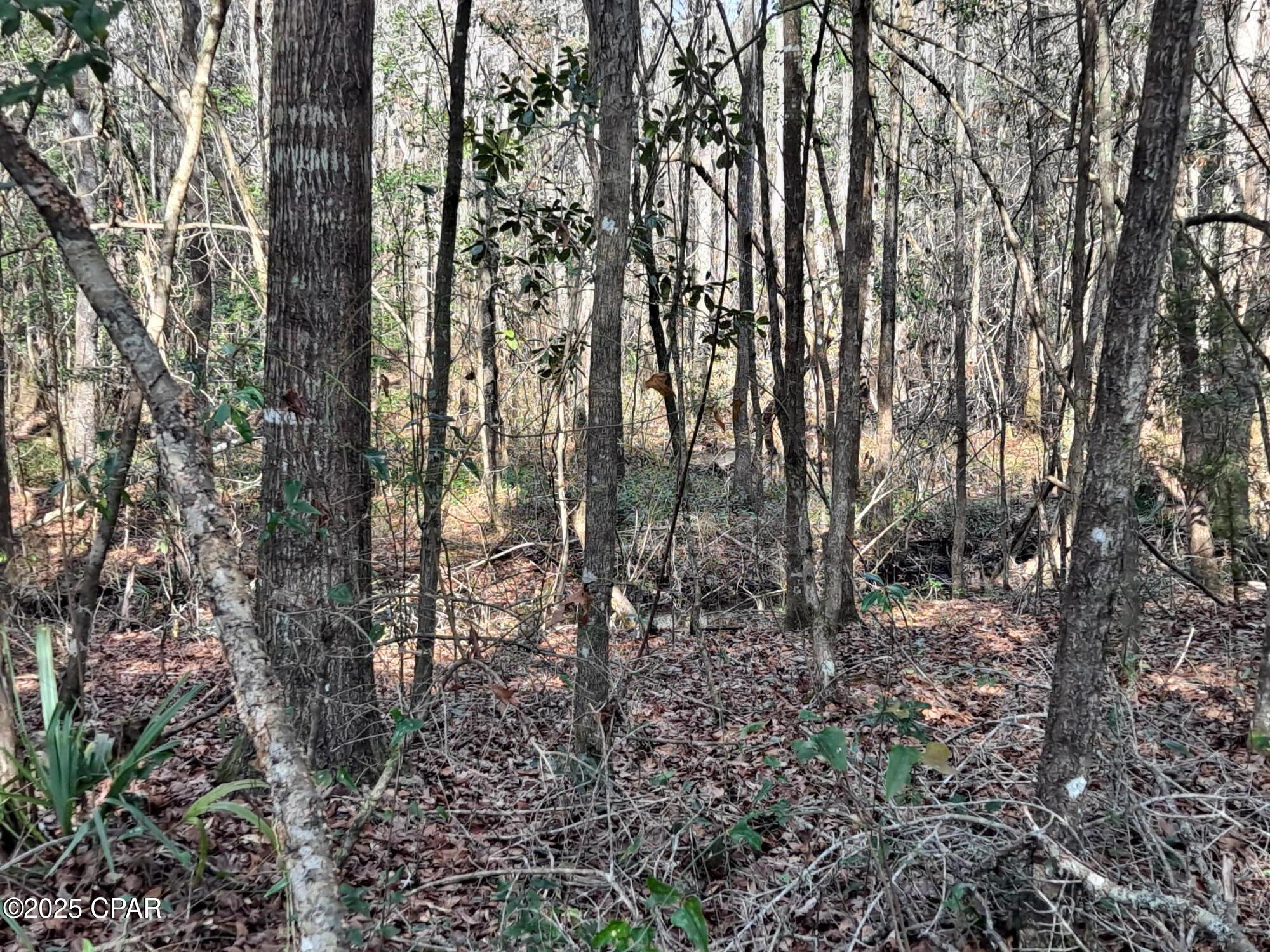 2236 Hathaway Mill Road, Bonifay, Florida image 12