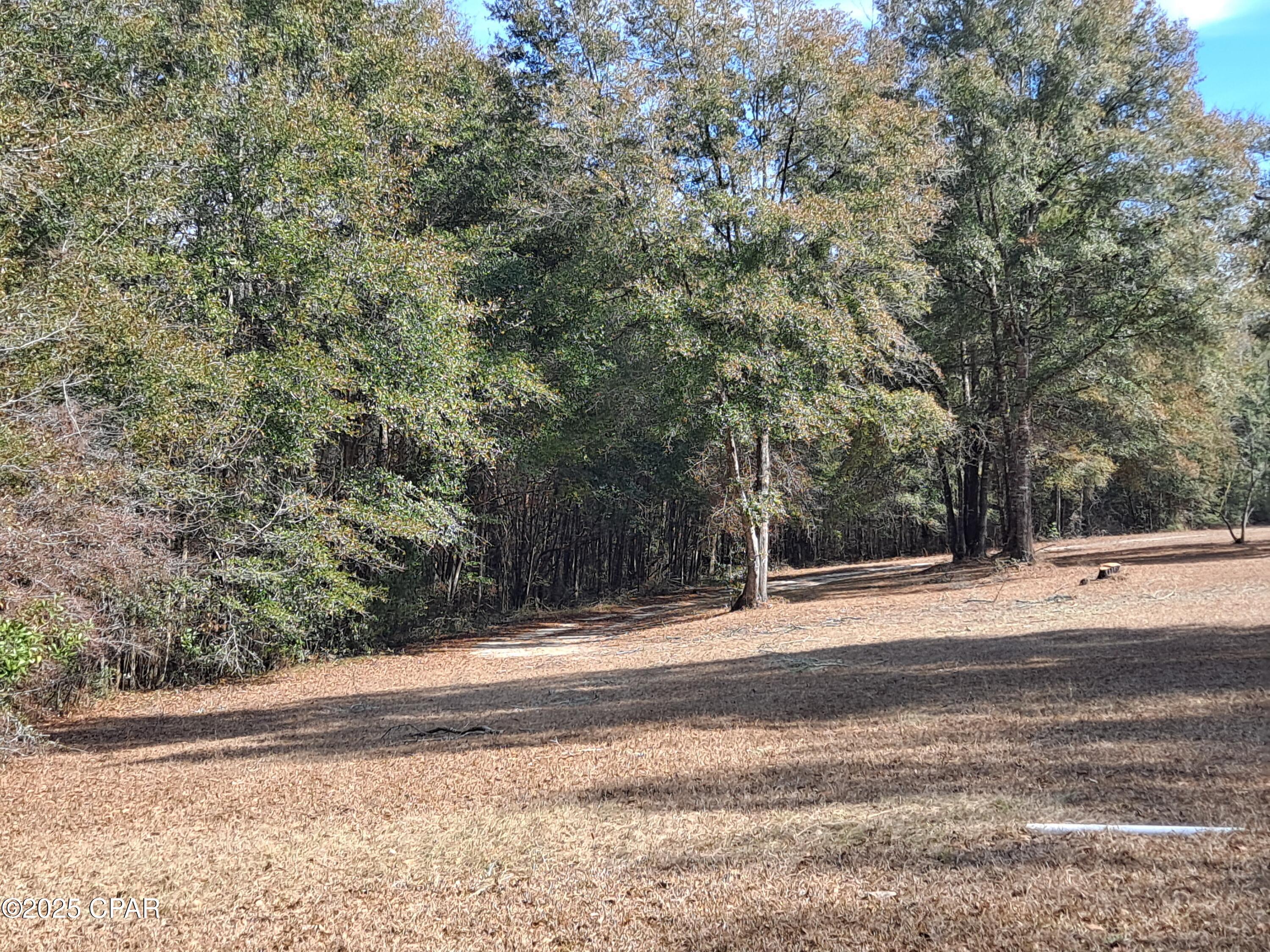 2236 Hathaway Mill Road, Bonifay, Florida image 2