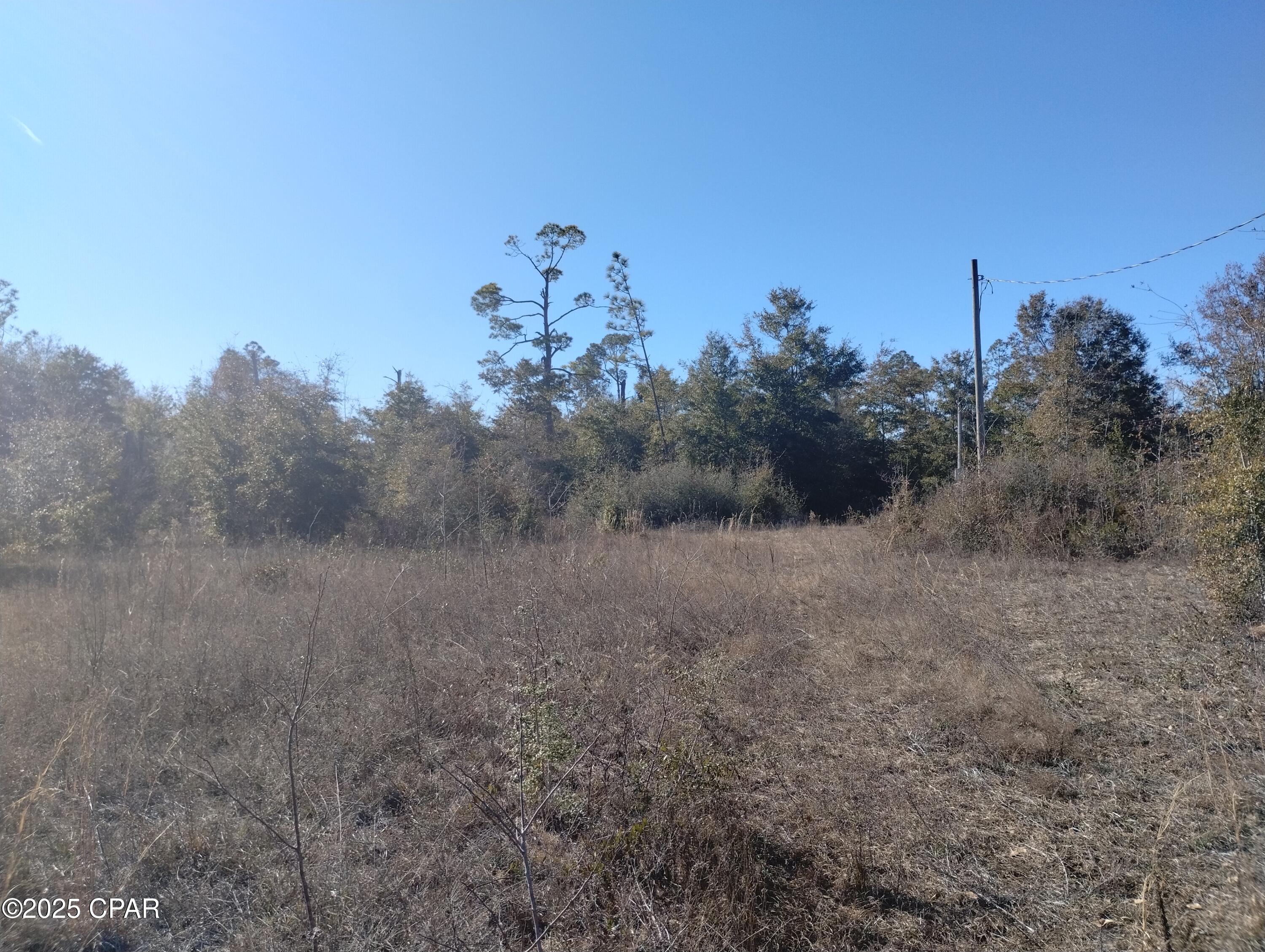 12107 White Road, Youngstown, Florida image 1