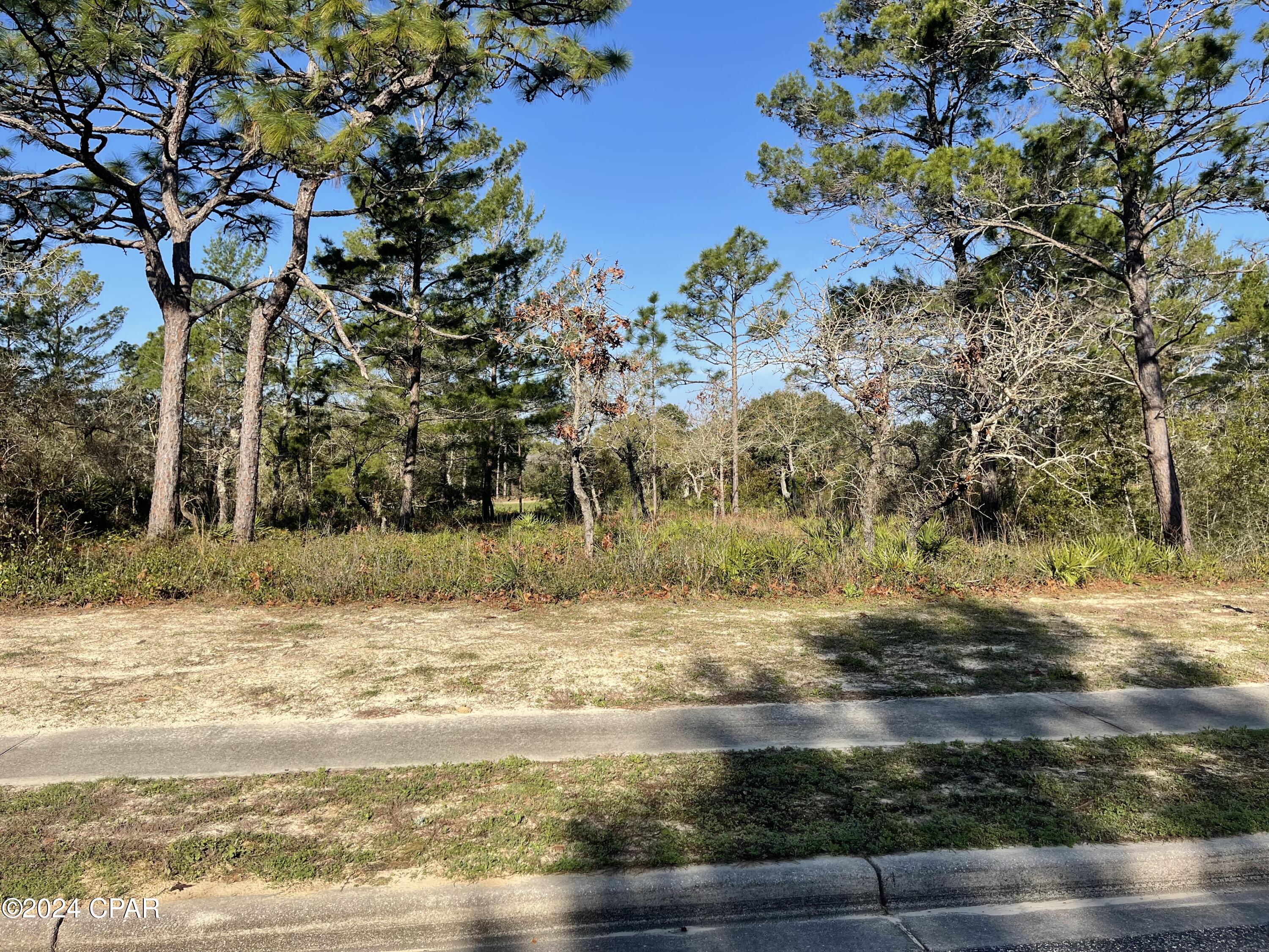 Photo of 131 Laughing Gull Carrabelle FL 32322