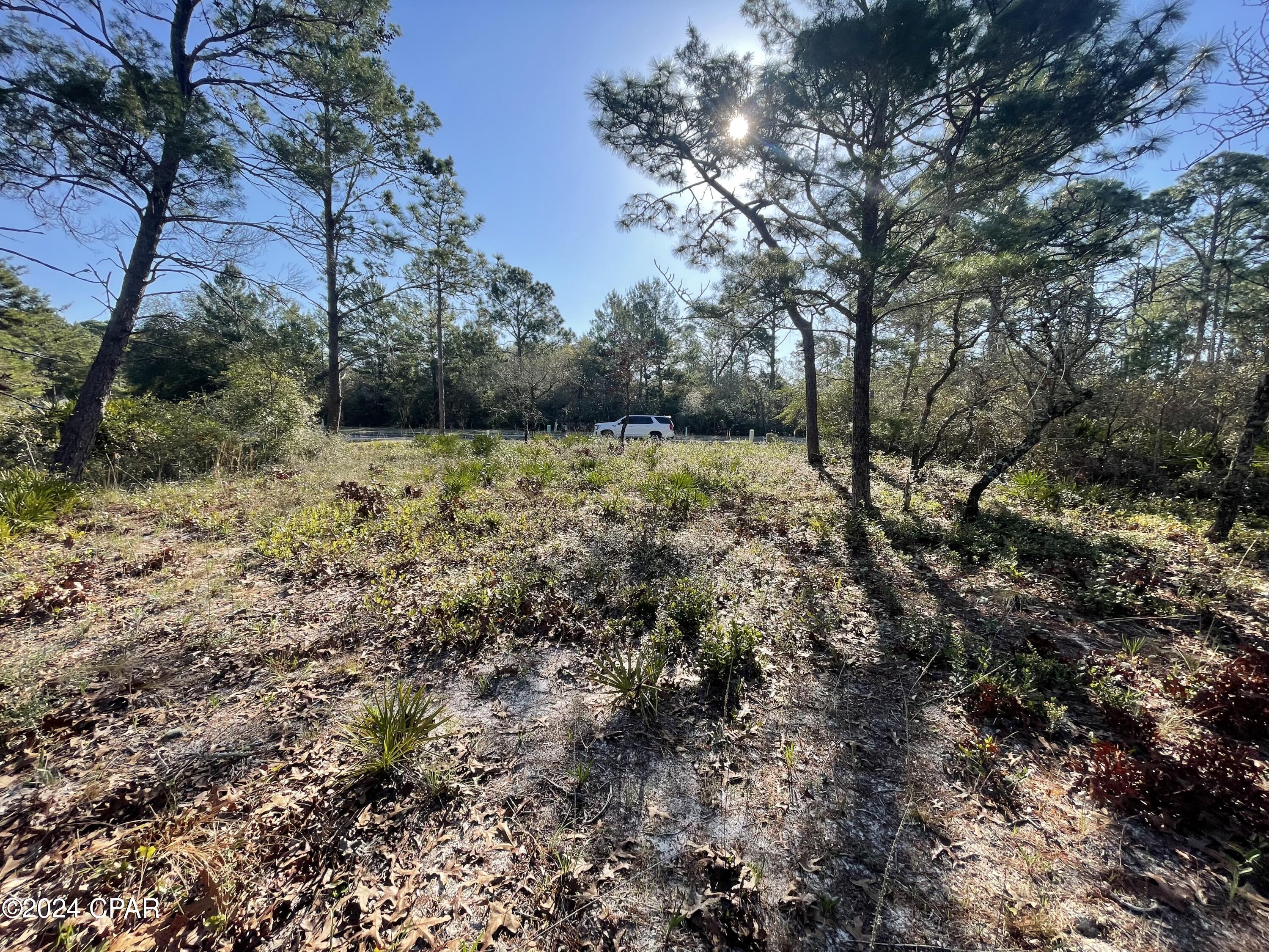 Image 10 For 131 Laughing Gull Lane