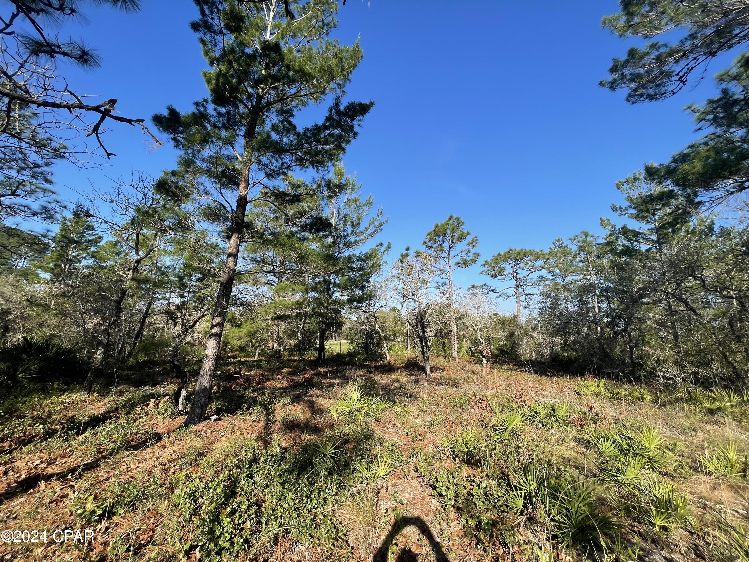 Image 11 For 131 Laughing Gull Lane