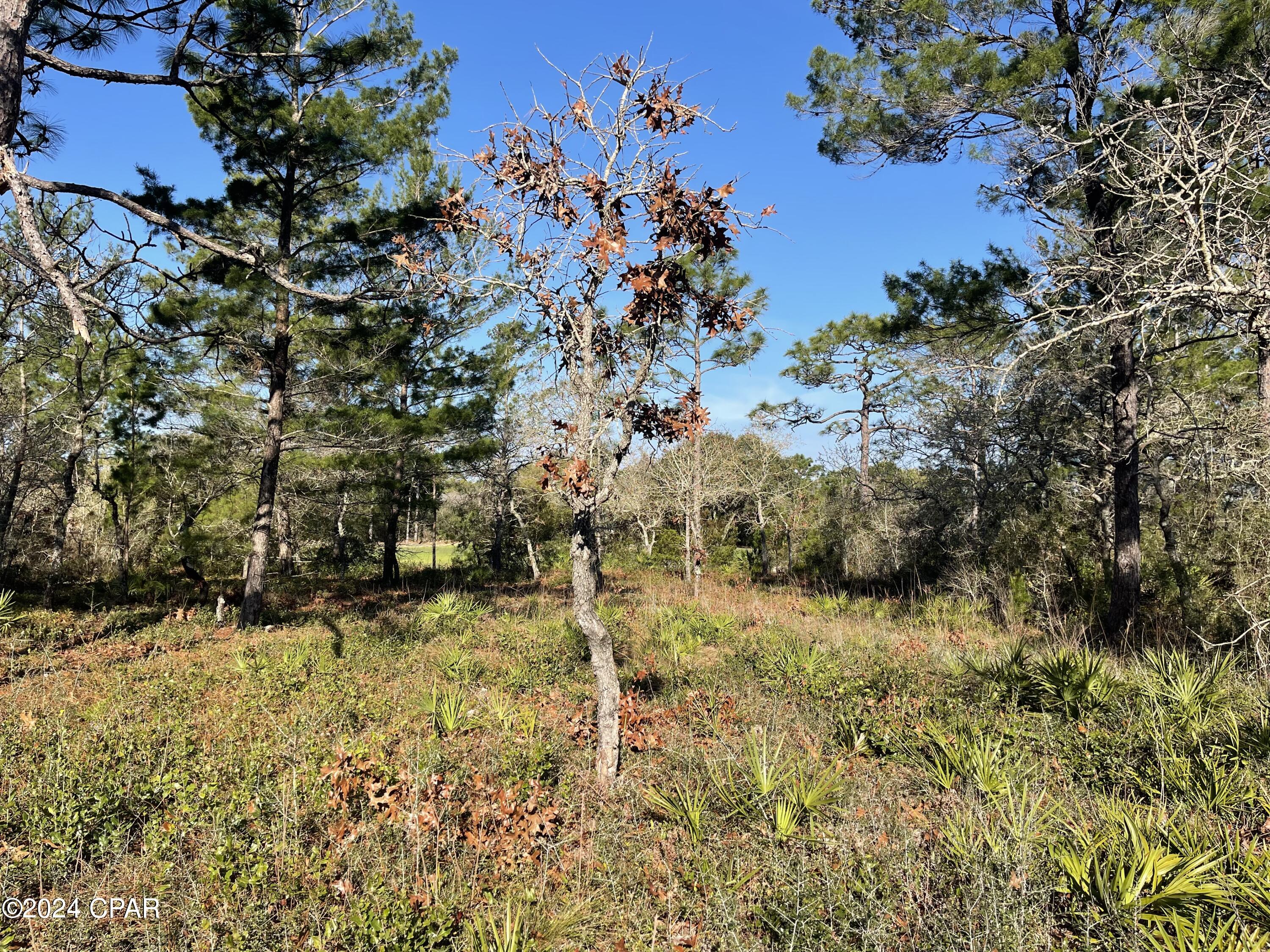 Image 12 For 131 Laughing Gull Lane