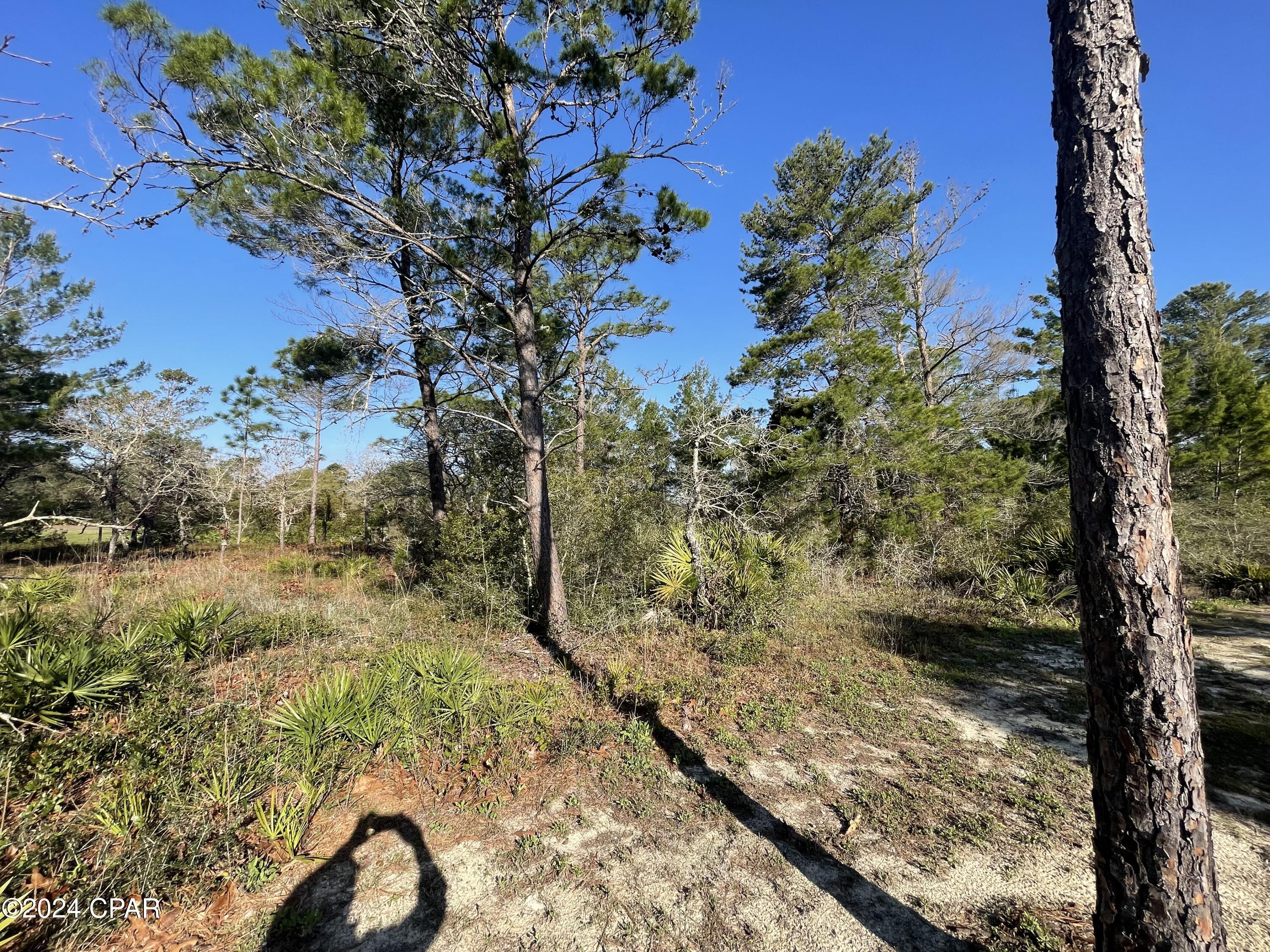 Image 5 For 131 Laughing Gull Lane