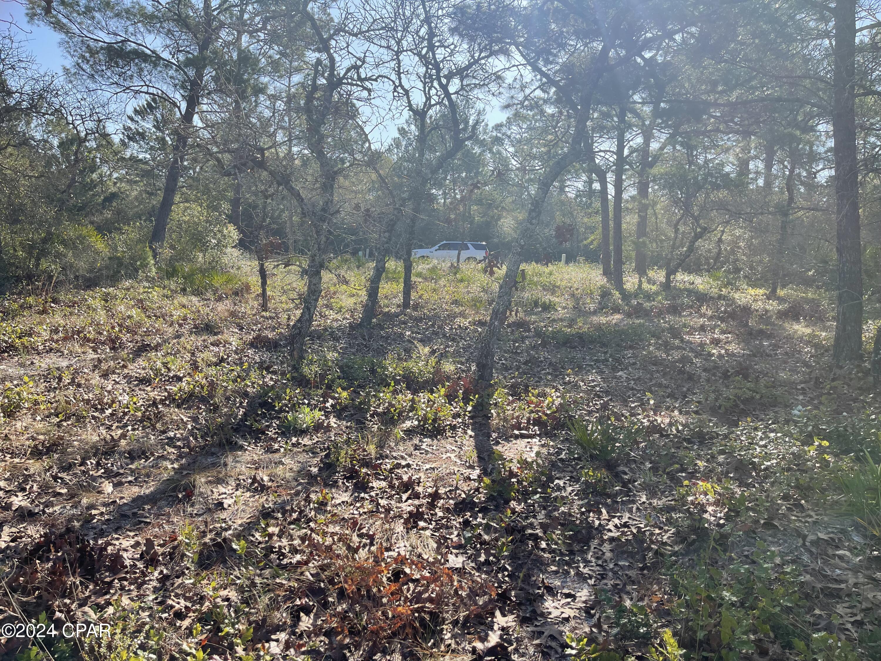 Image 9 For 131 Laughing Gull Lane