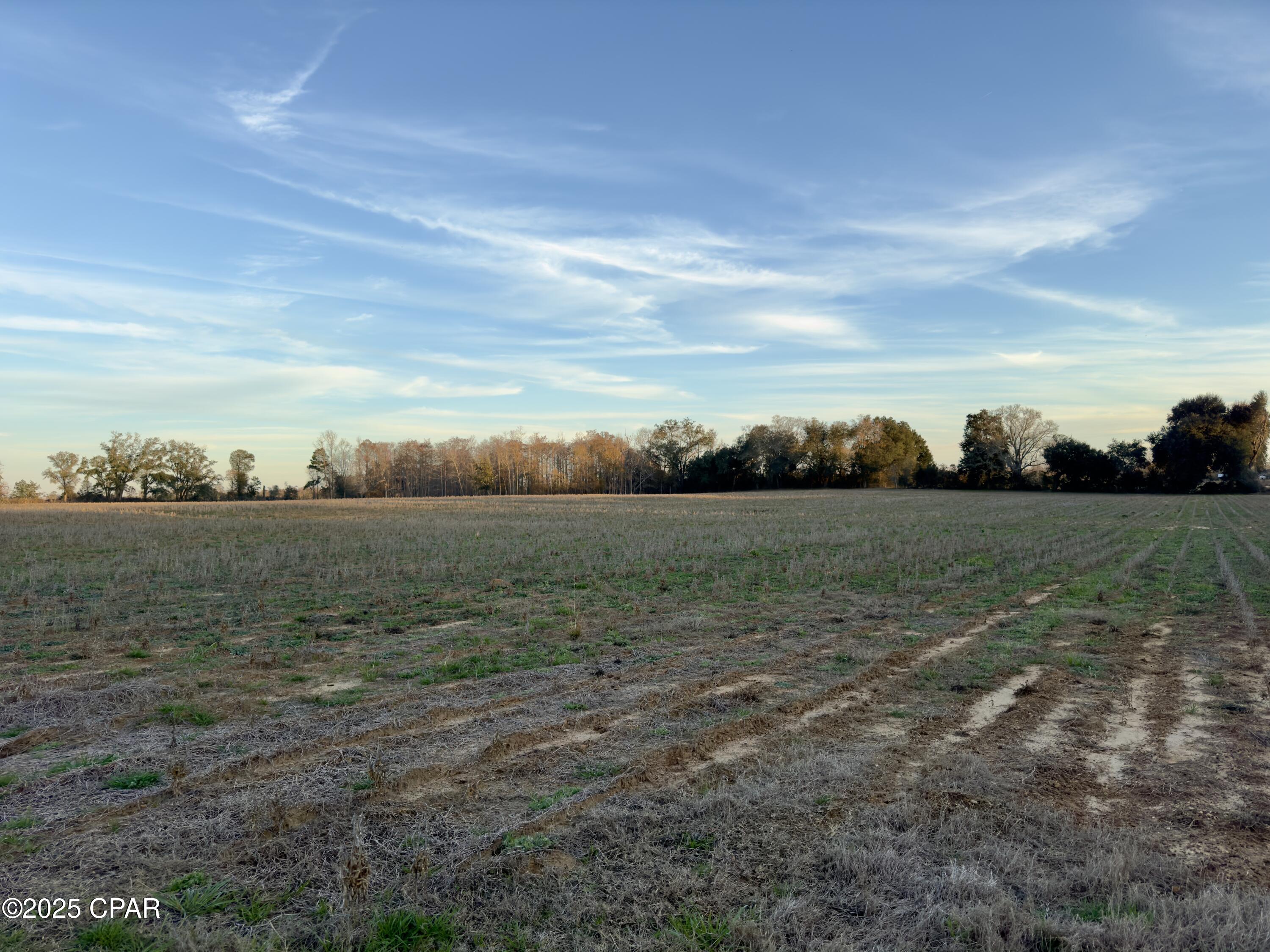 2386 Phillips Road, Cottondale, Florida image 38