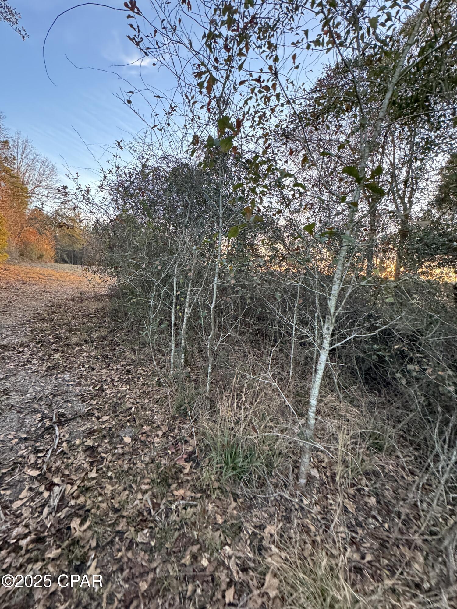Image 39 For 2386 Phillips Road