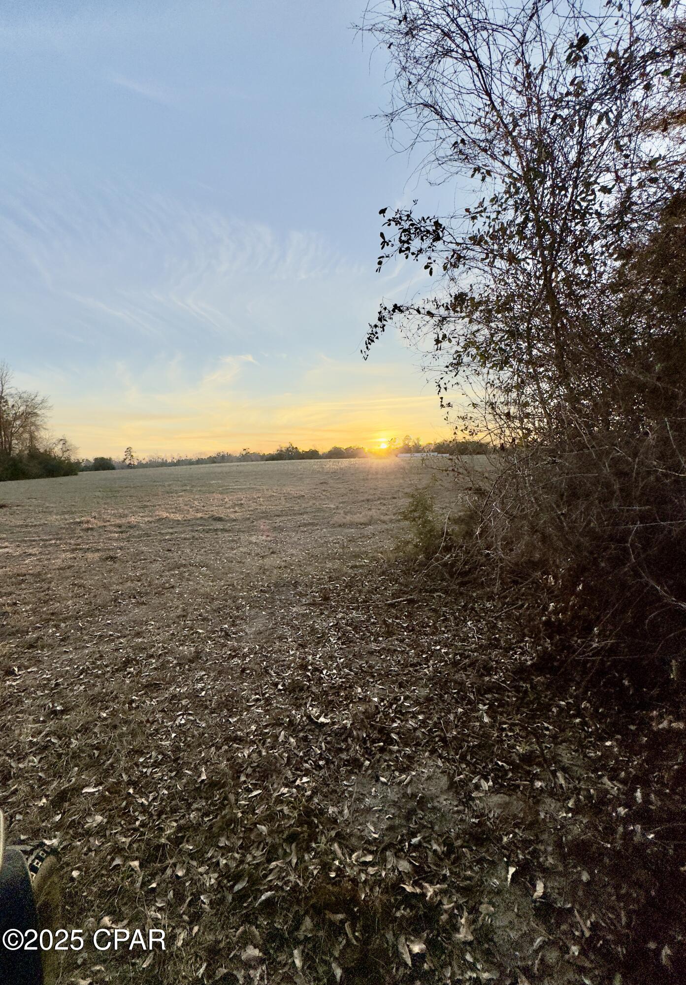 2386 Phillips Road, Cottondale, Florida image 40