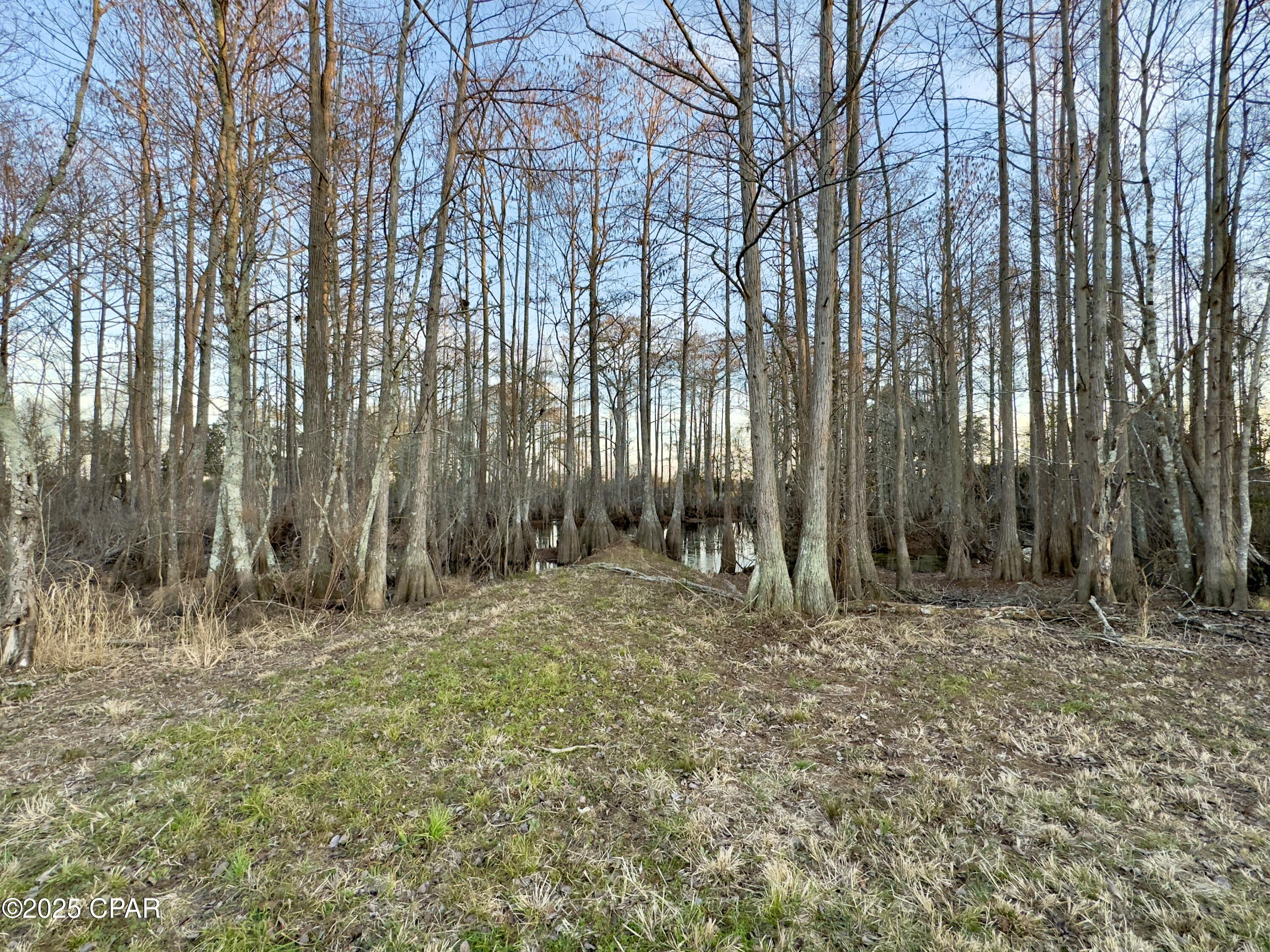 Image 42 For 2386 Phillips Road