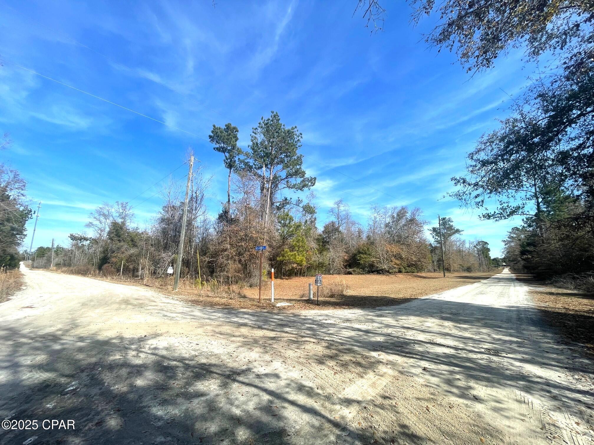 Photo of Lot 1 Whitetail Marianna FL 32448