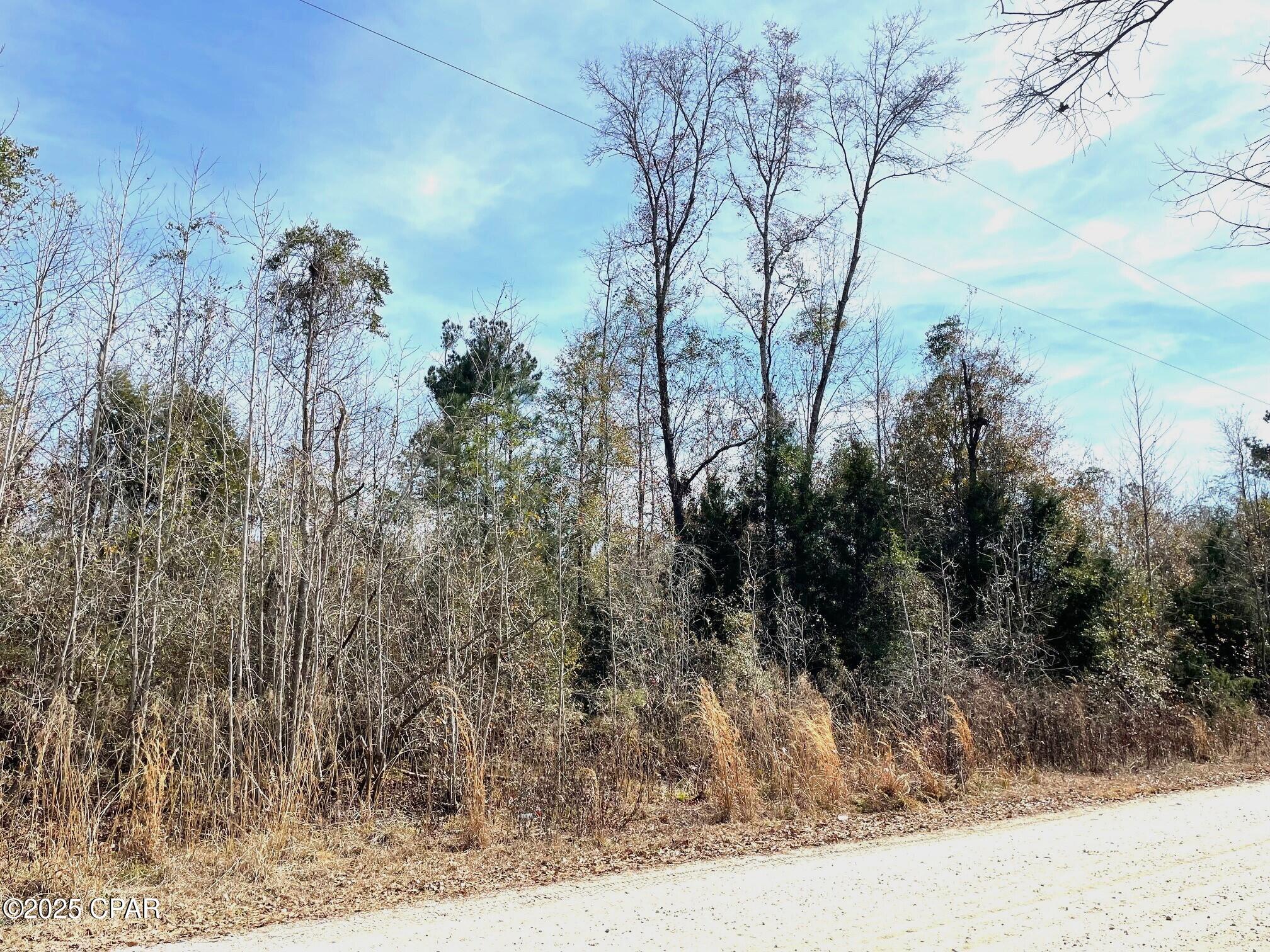 Lot 1 Whitetail Drive, Marianna, Florida image 10