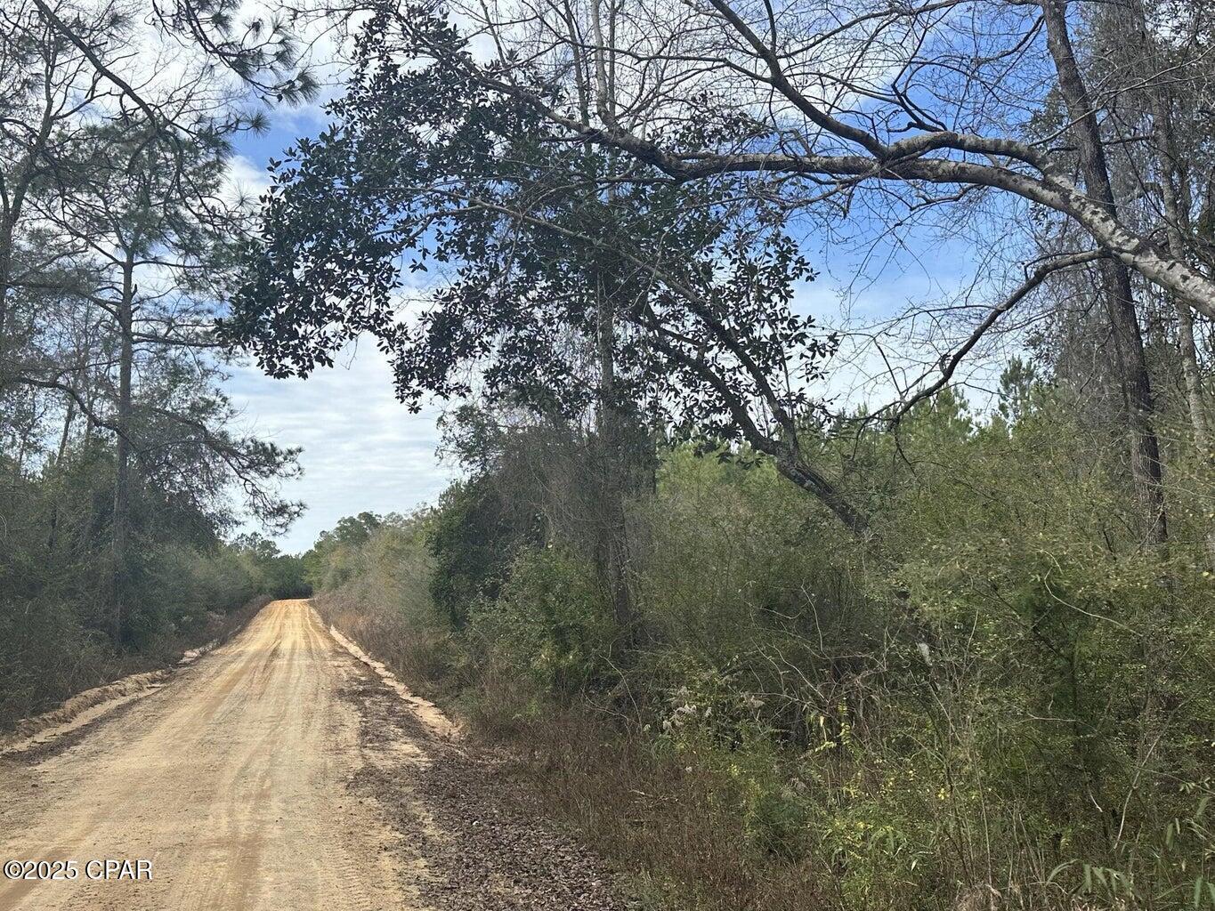 Tract#6301 West Love #80, Bonifay, Florida image 1