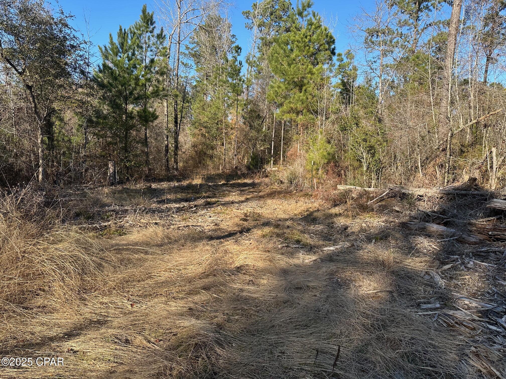 3241 Highway 90, Marianna, Florida image 1