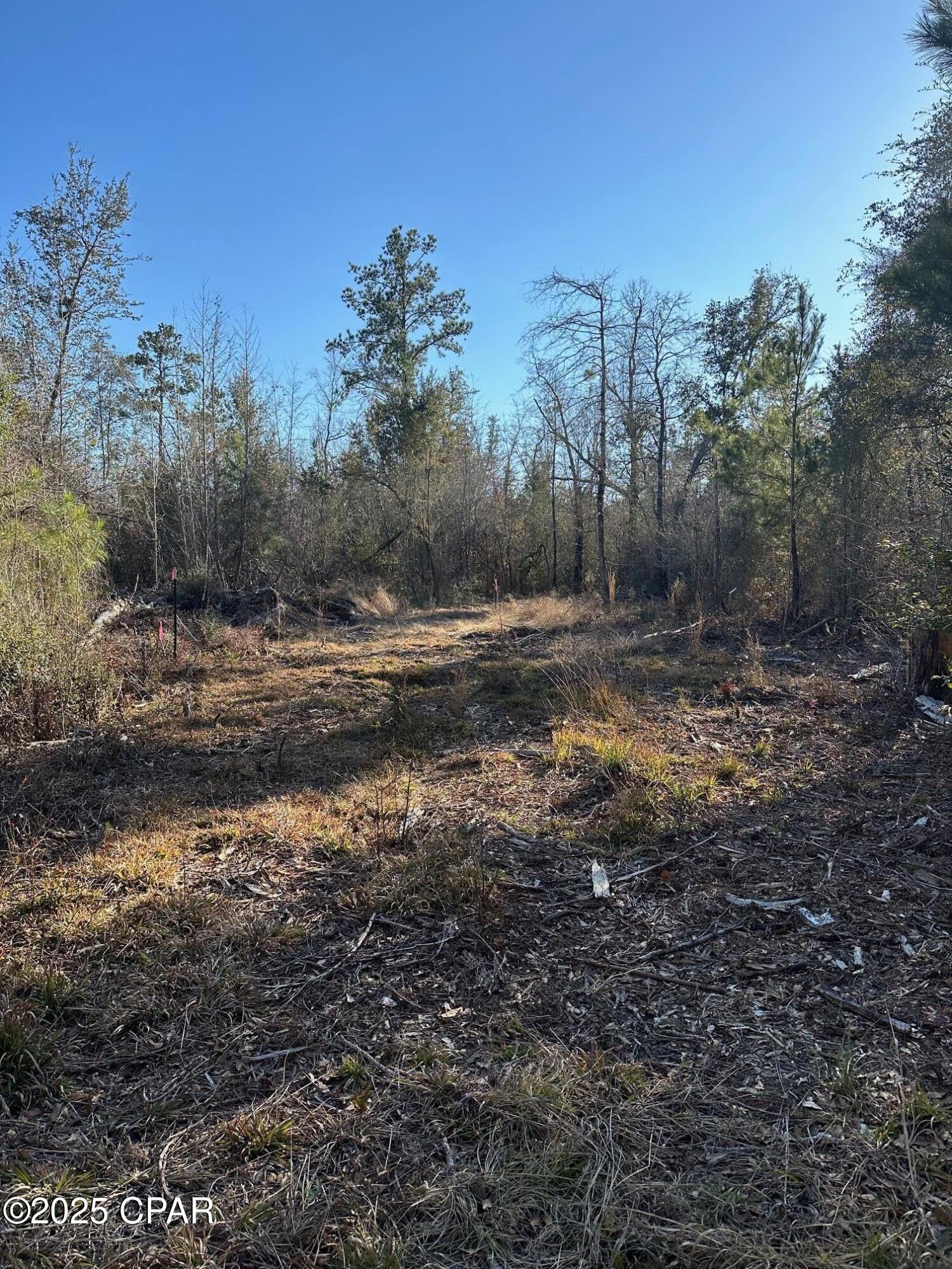 3241 Highway 90, Marianna, Florida image 10