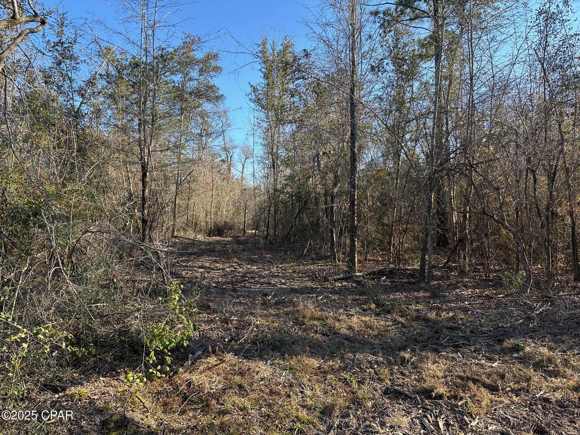 3241 Highway 90, Marianna, Florida image 6