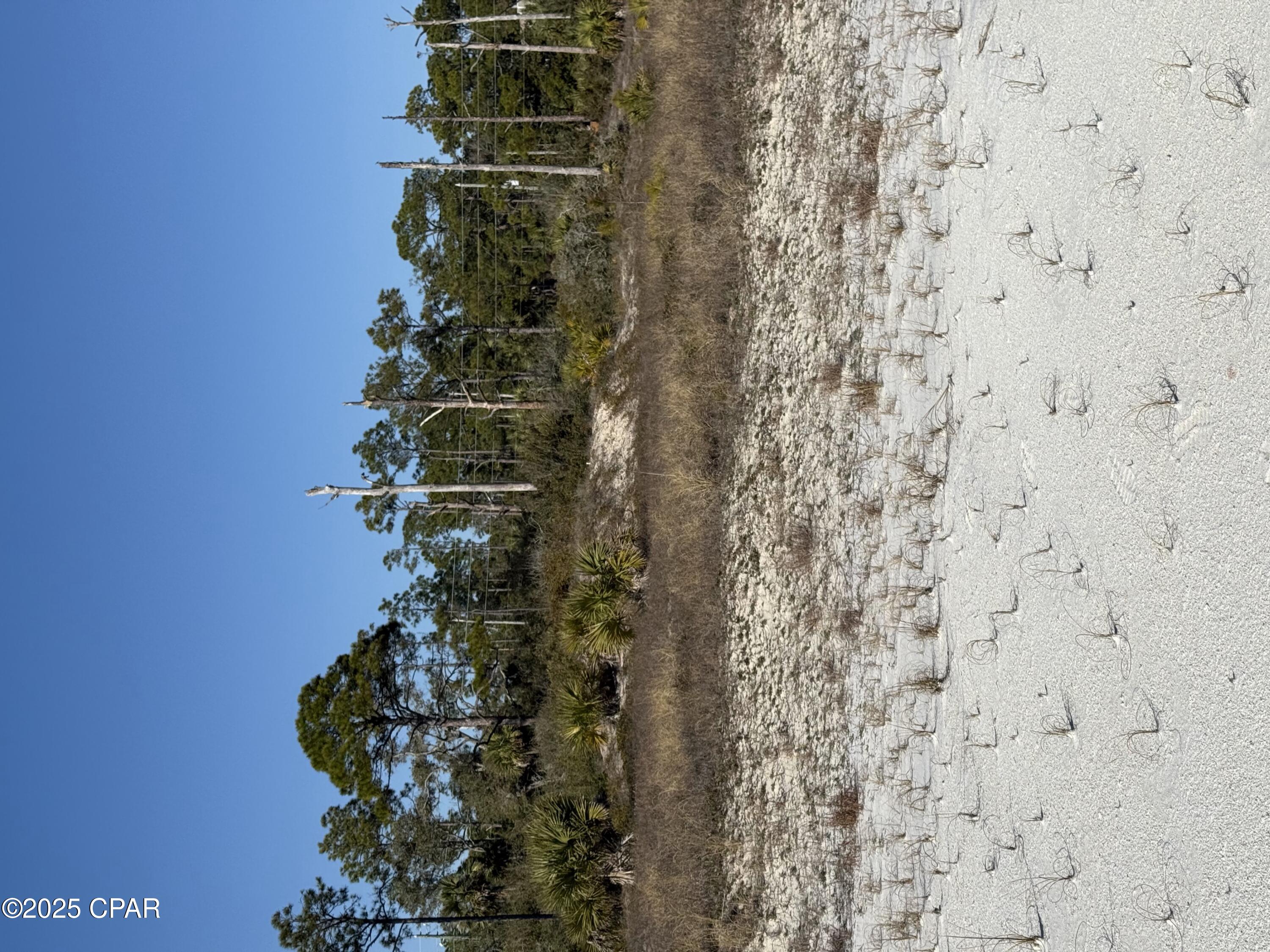 Photo of TBD CR 30A Cape San Blas FL 32456