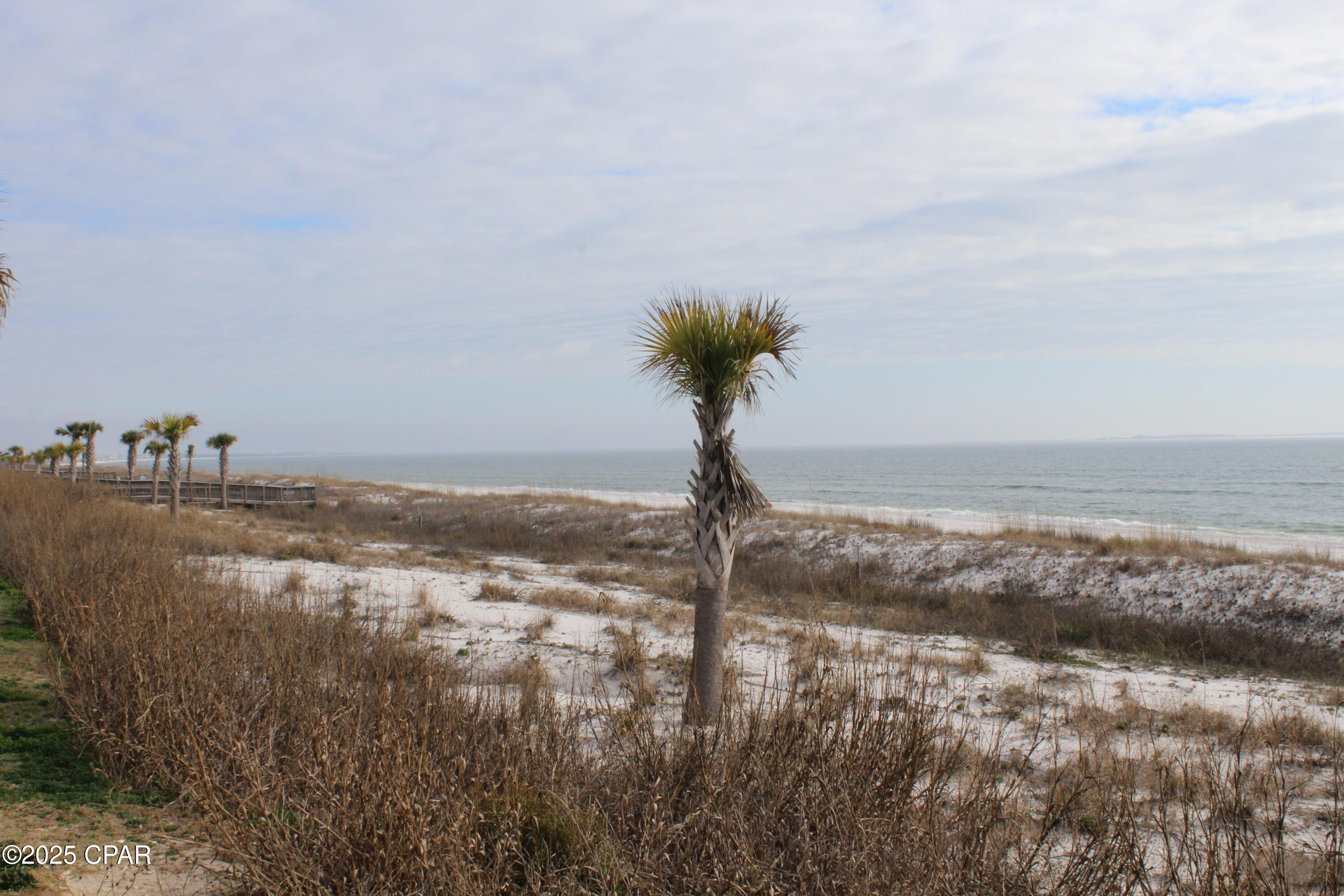 206 Virginia Drive, Mexico Beach, Florida image 2