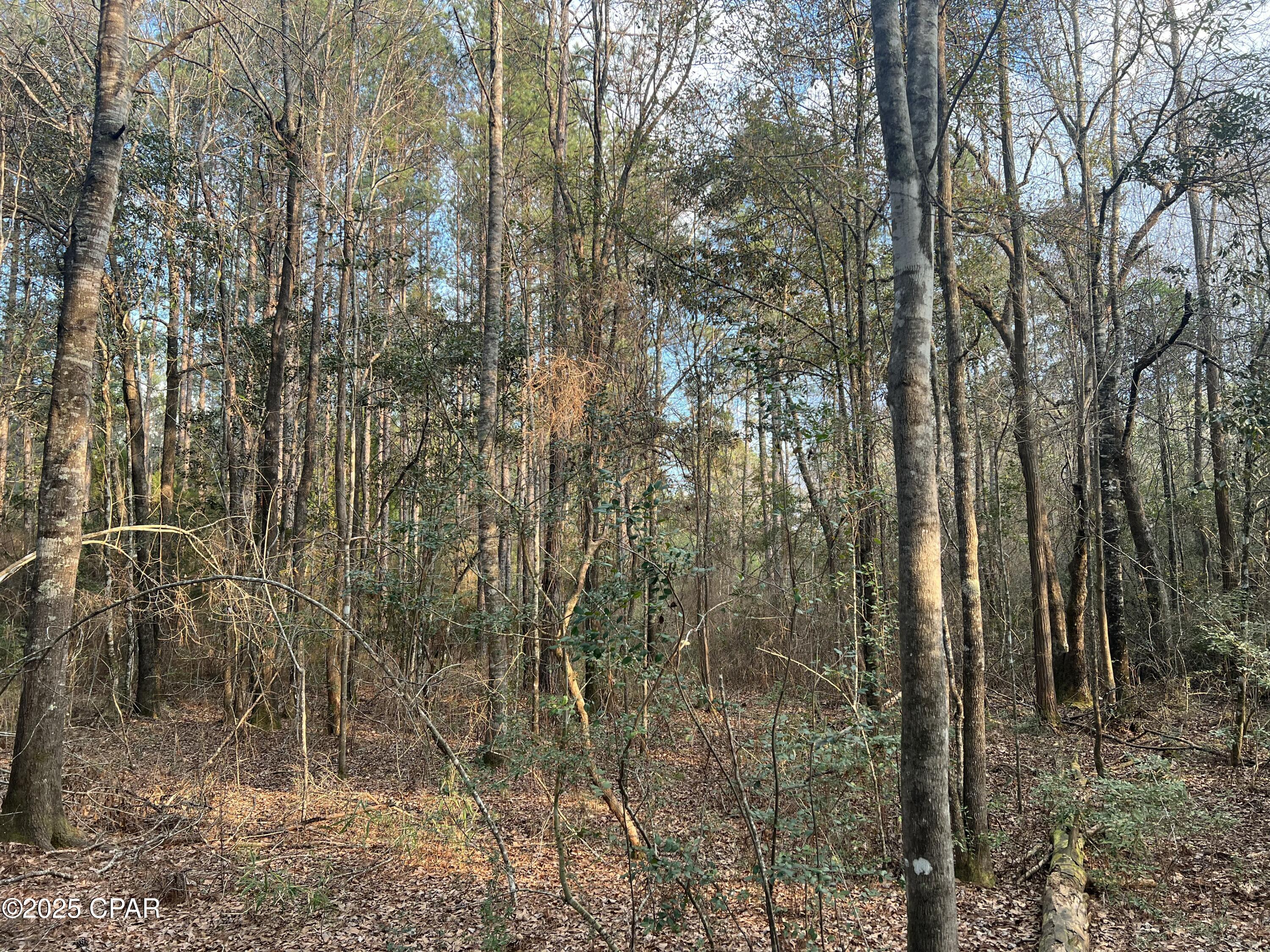 Image 12 For Tbd White Oak Lane