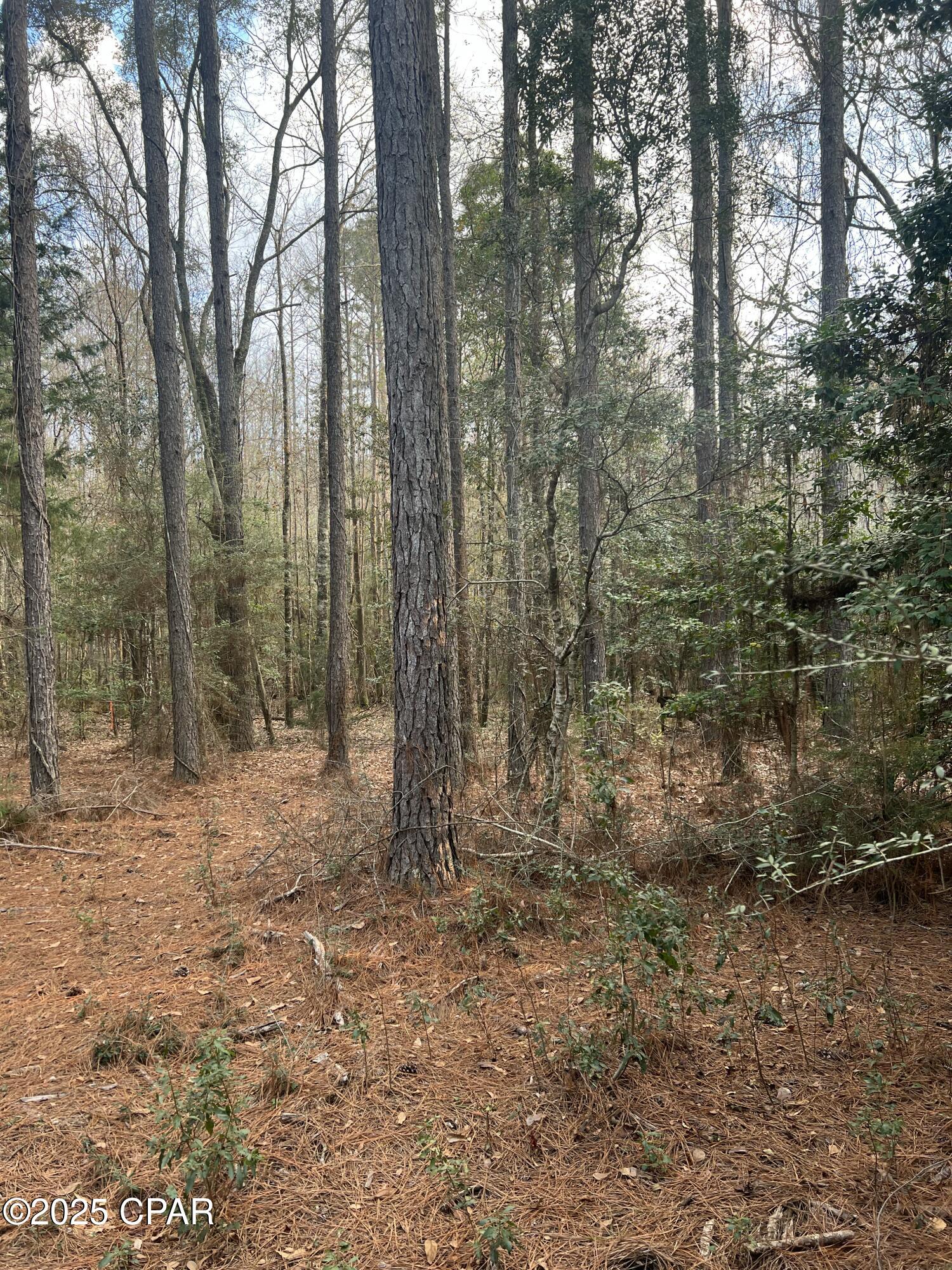 Image 17 For Tbd White Oak Lane