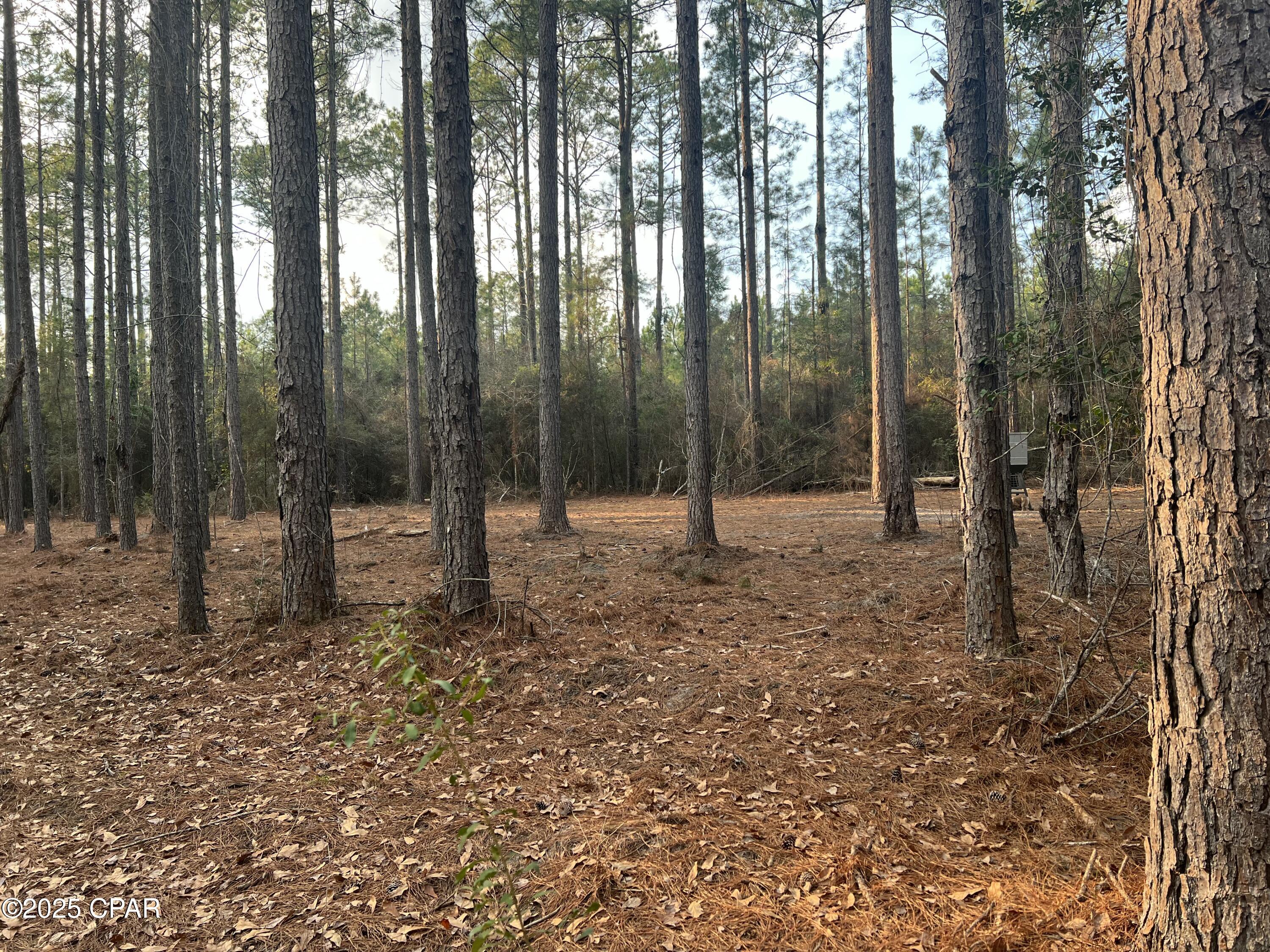 Image 7 For Tbd White Oak Lane
