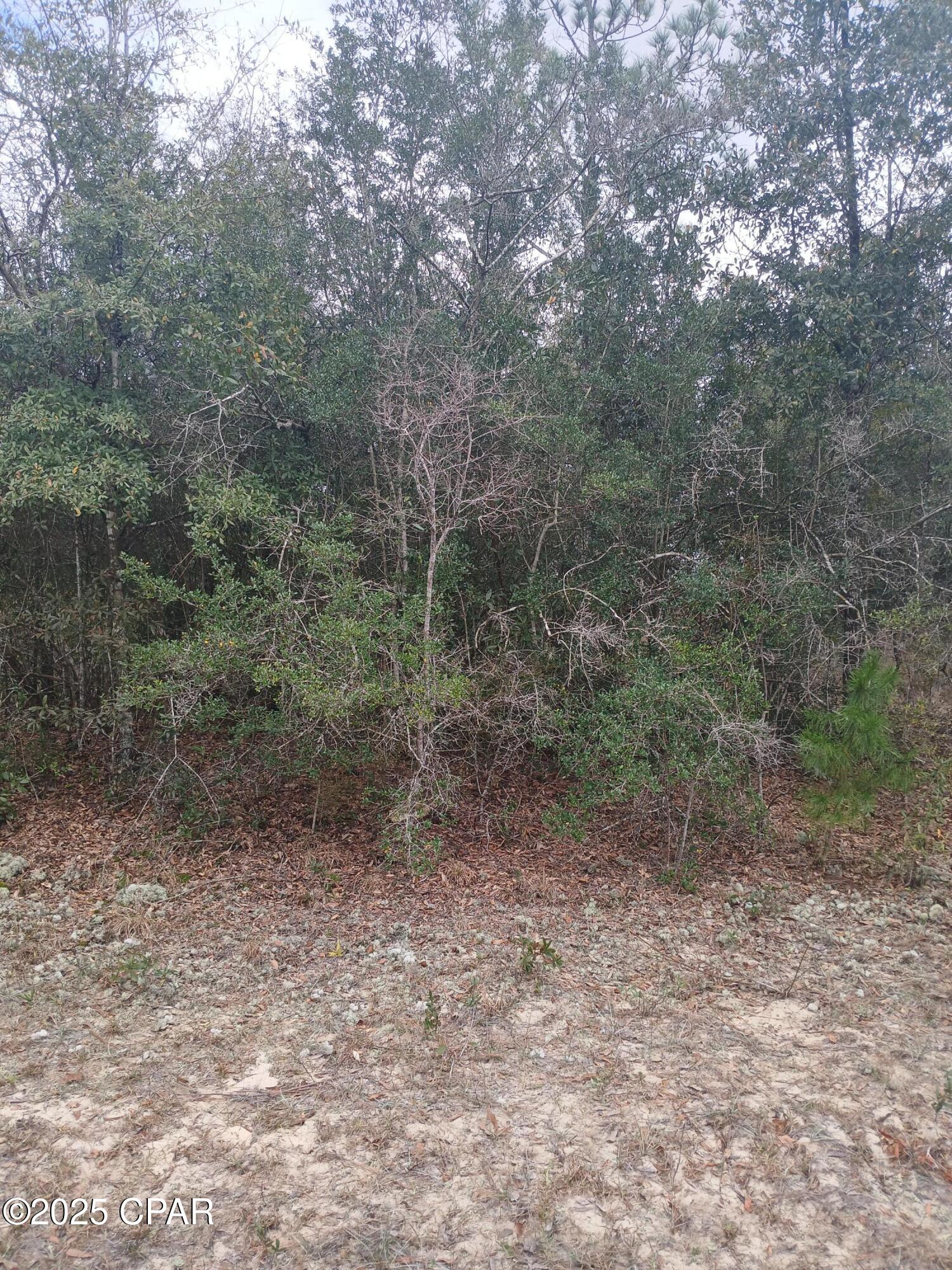 Image 2 For Lot 17 Westbrook Drive