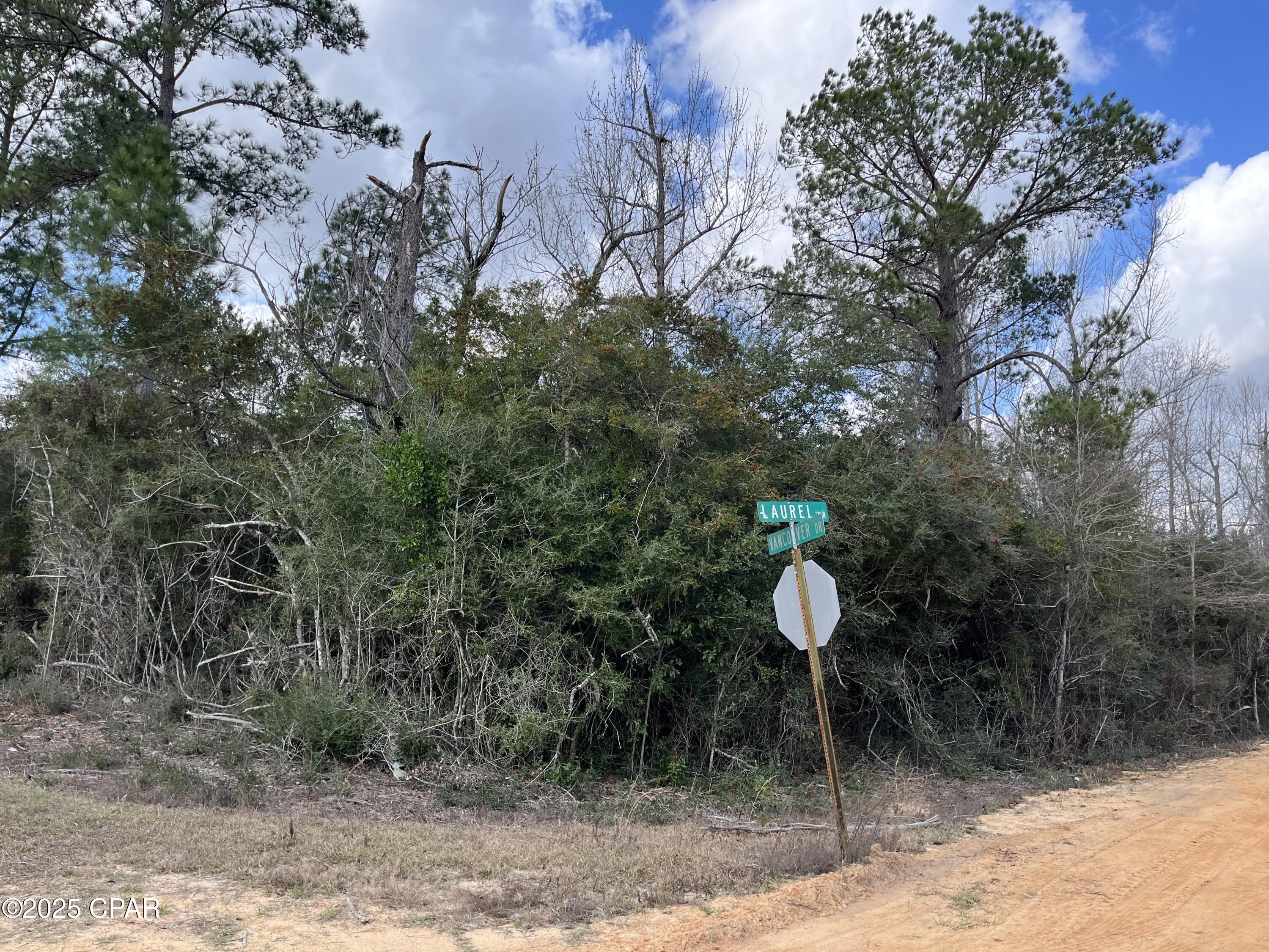 Lot 13 Vancouver Drive, Alford, Florida image 2