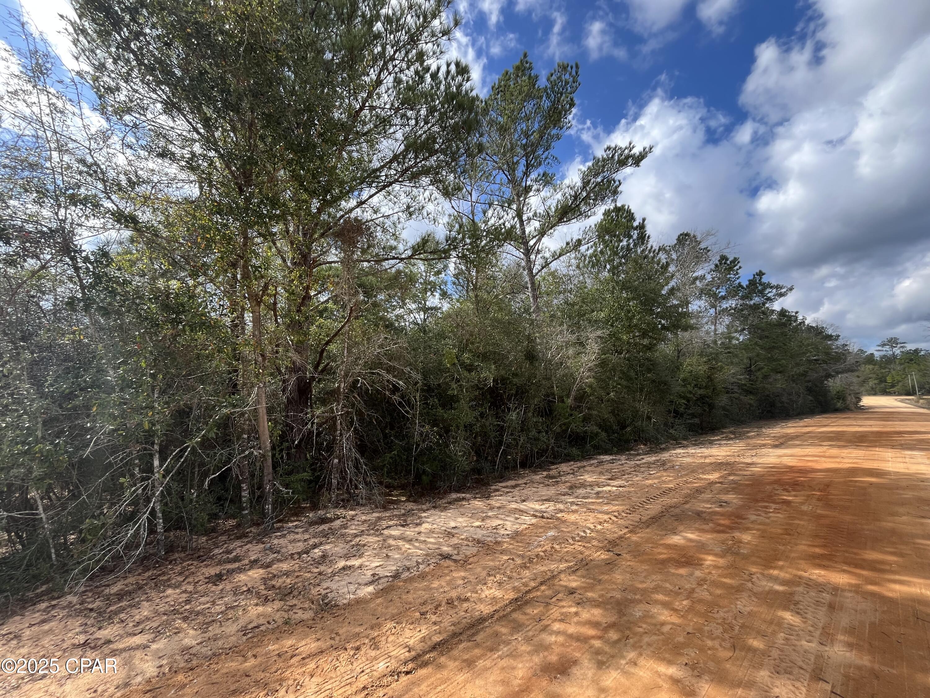 Lot 10 Laurel Drive, Alford, Florida image 1