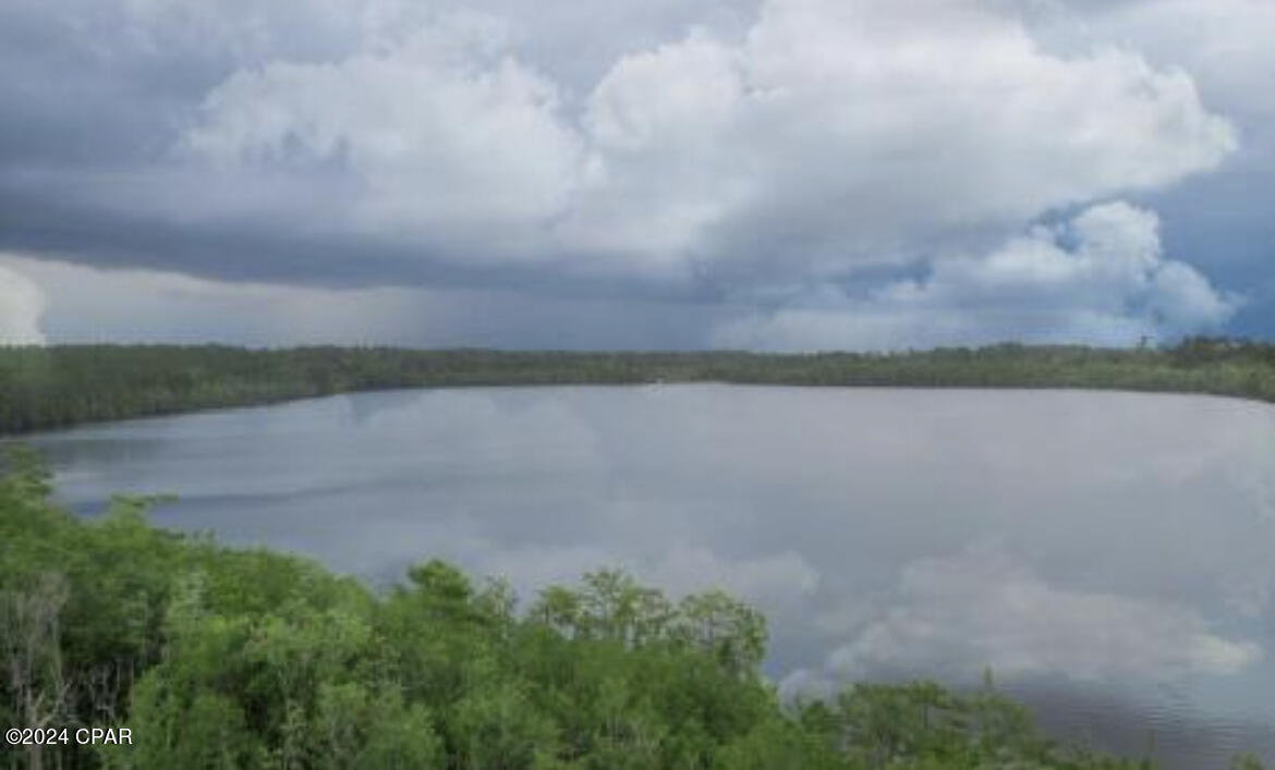Lot 10 Laurel Drive, Alford, Florida image 12
