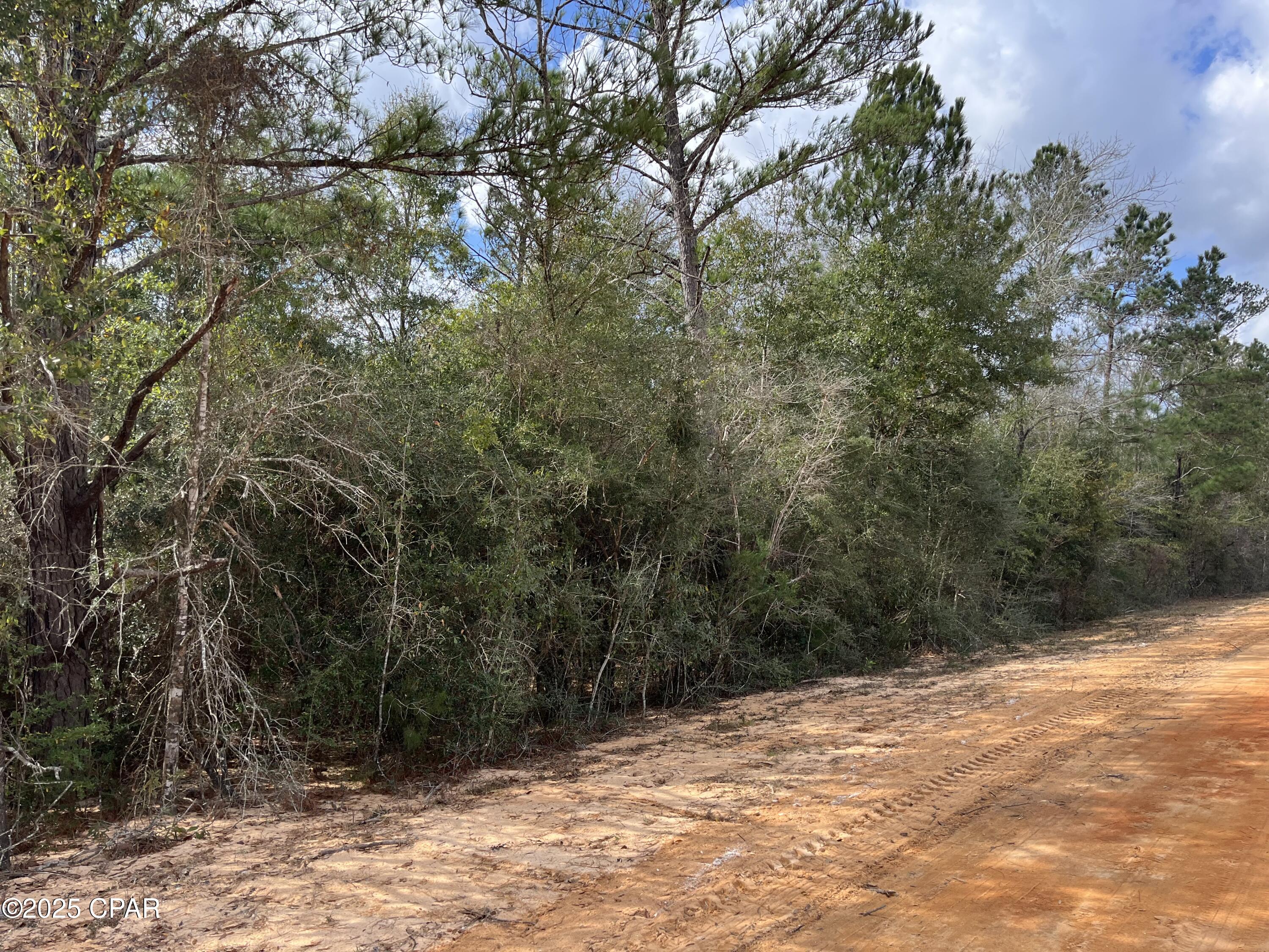 Lot 10 Laurel Drive, Alford, Florida image 3