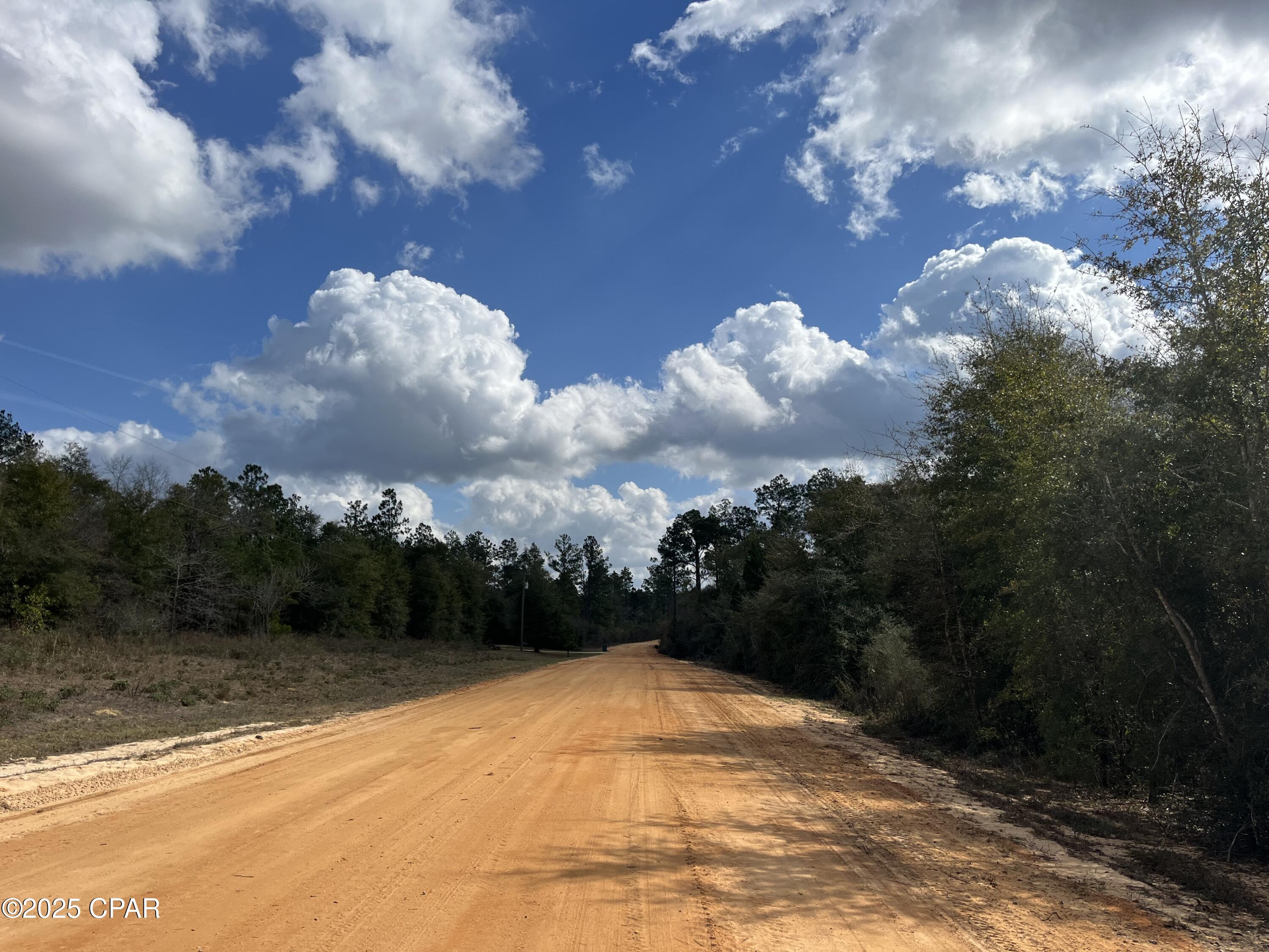 Lot 10 Laurel Drive, Alford, Florida image 4