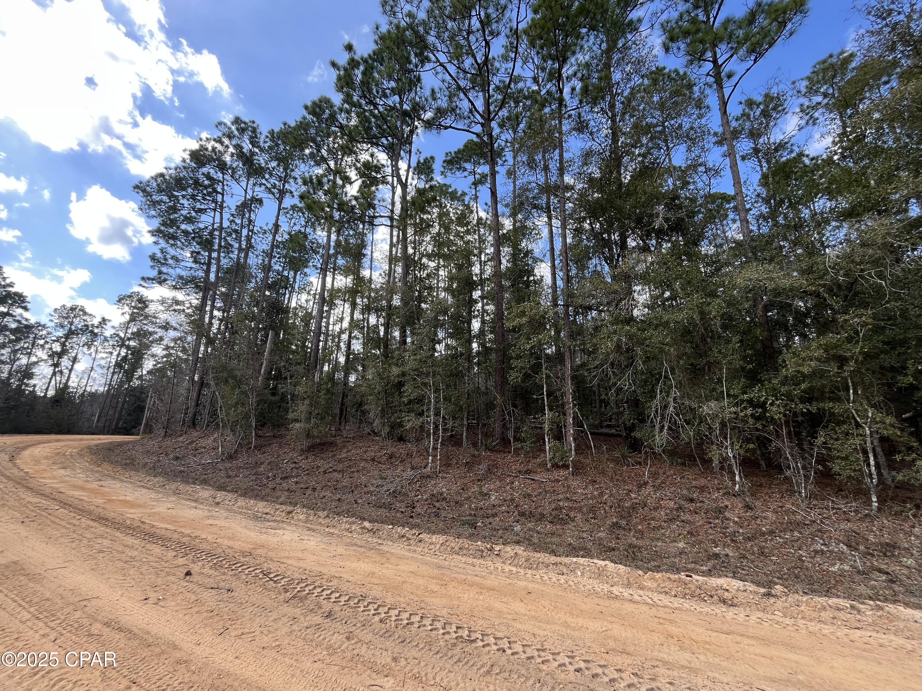 Lot 5 Hood Avenue, Alford, Florida image 2