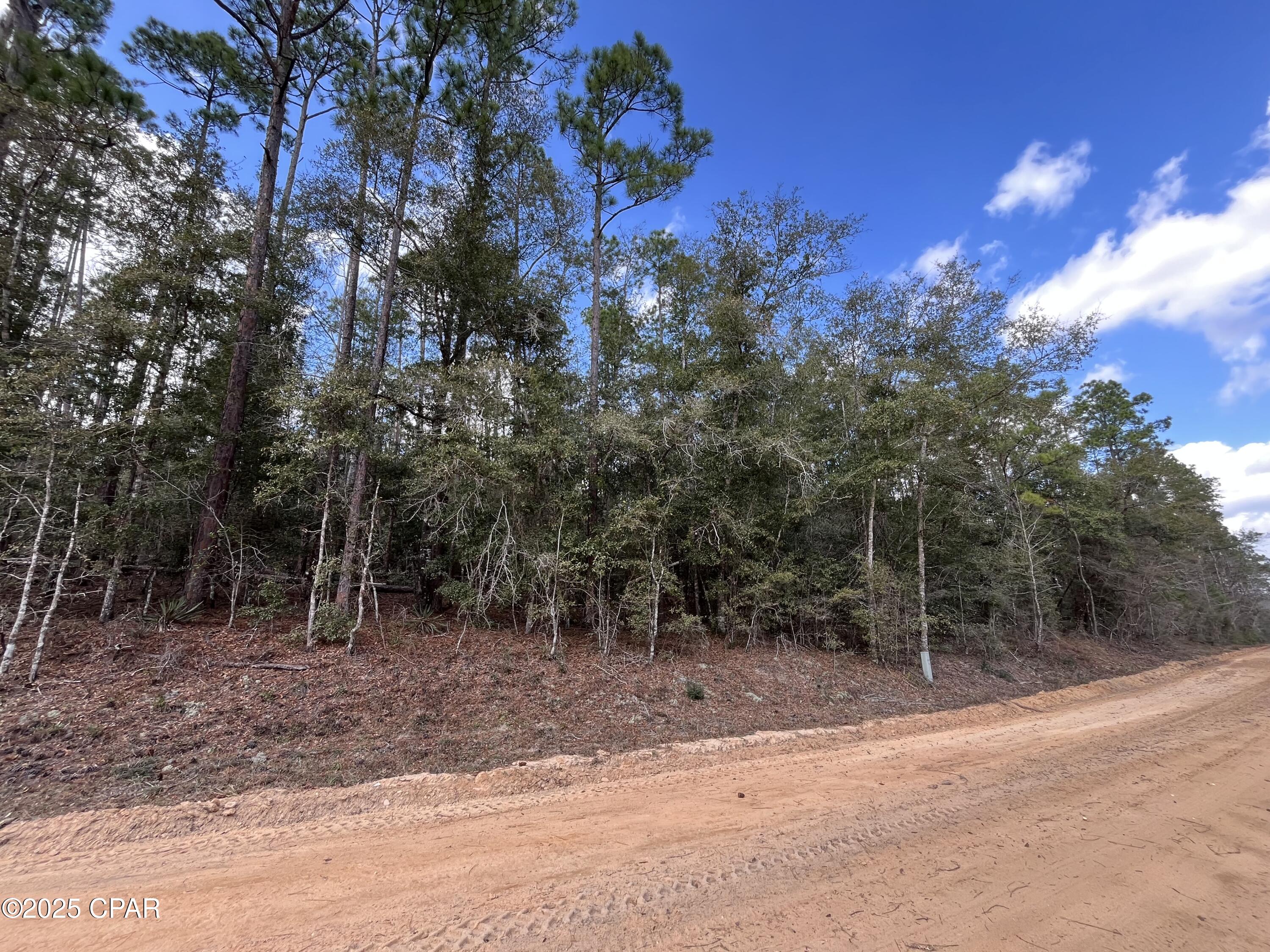 Lot 5 Hood Avenue, Alford, Florida image 3