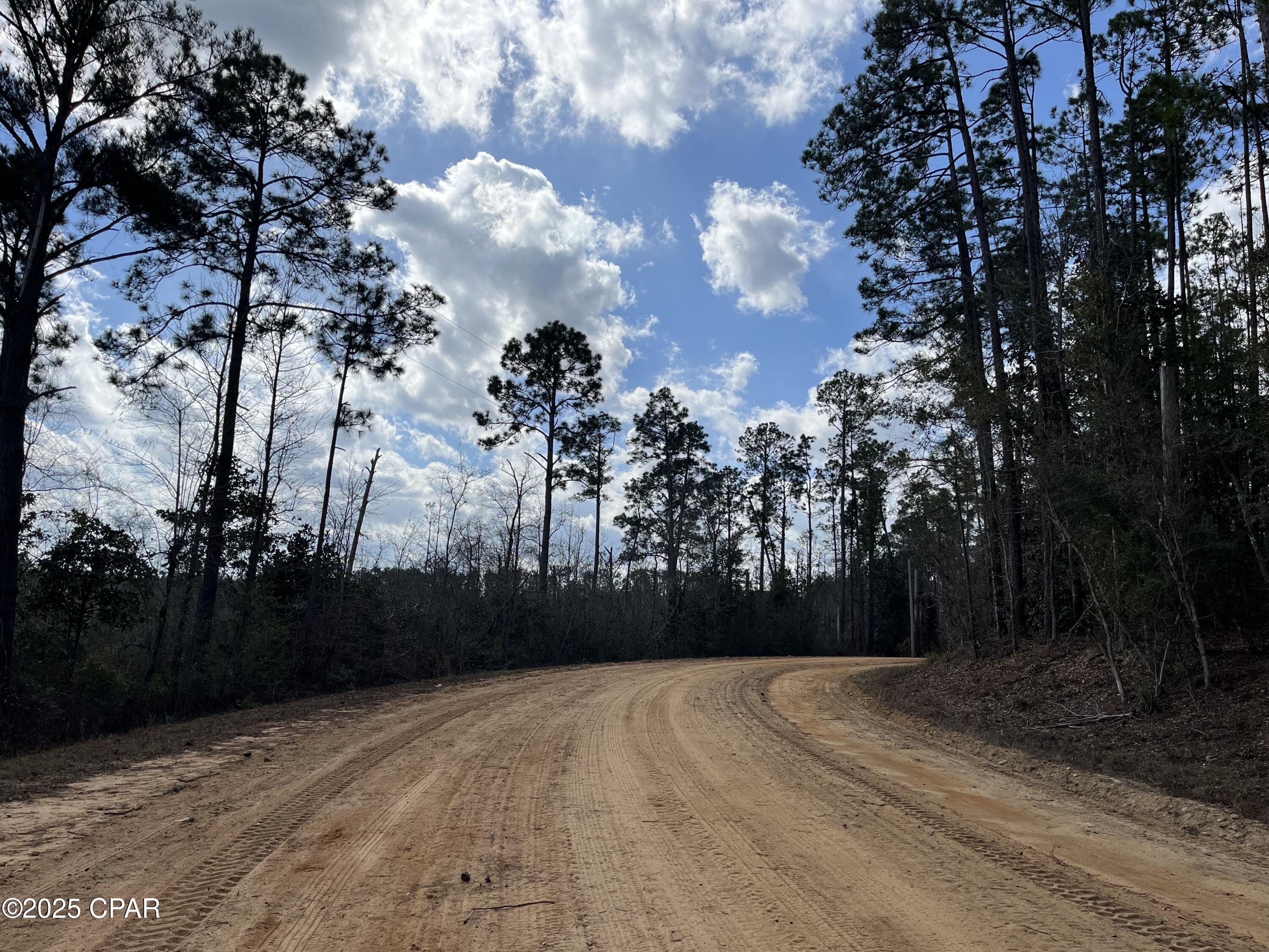 Lot 5 Hood Avenue, Alford, Florida image 4