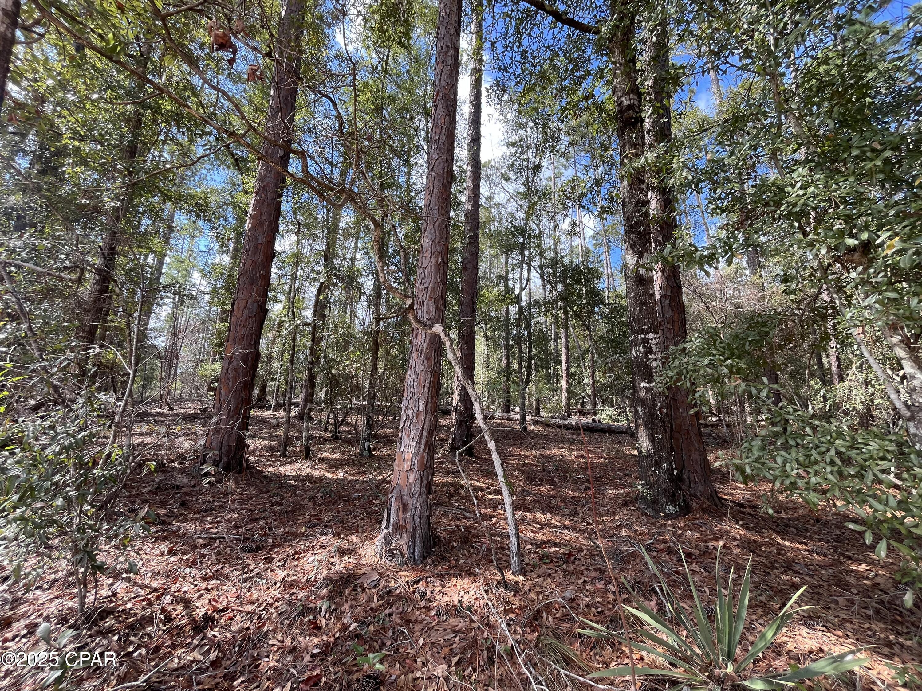 Lot 5 Hood Avenue, Alford, Florida image 5