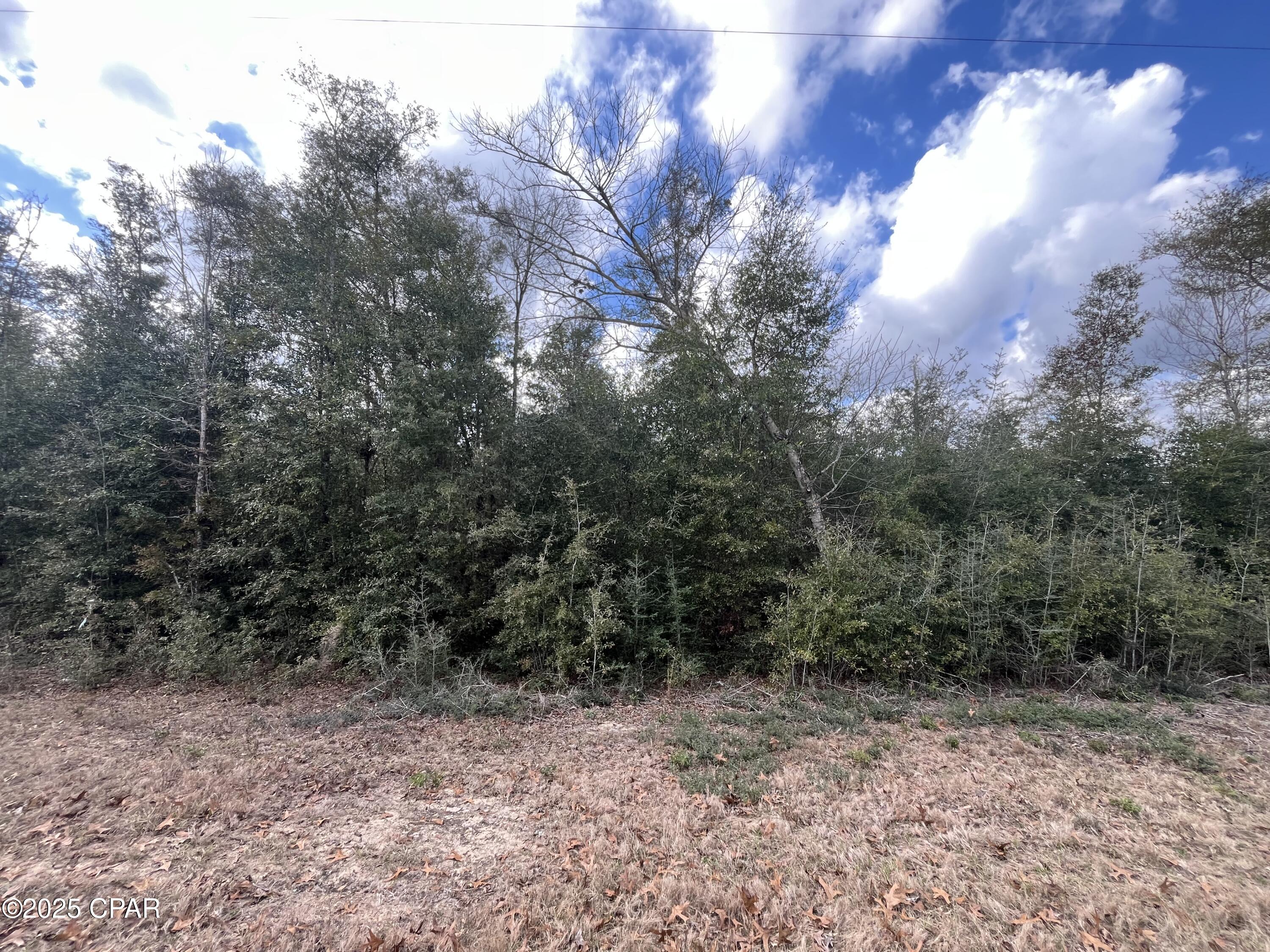 Vancouver Drive, Alford, Florida image 3