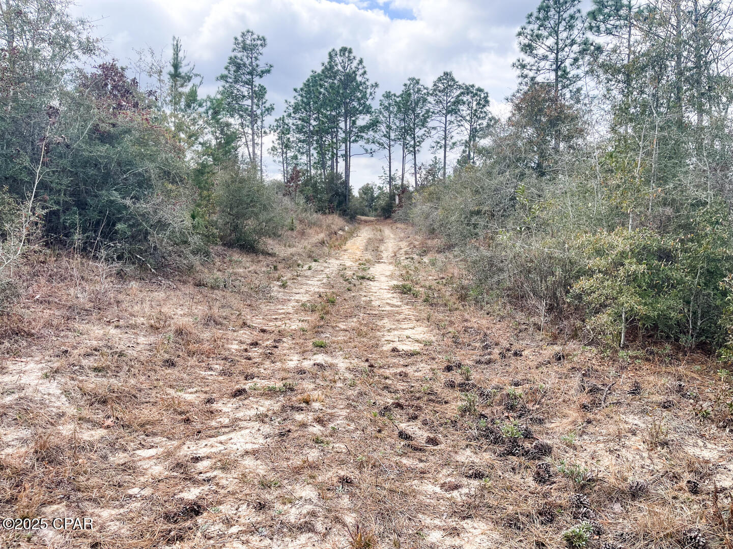 2025 Reedy Creek Road, Alford, Florida image 26