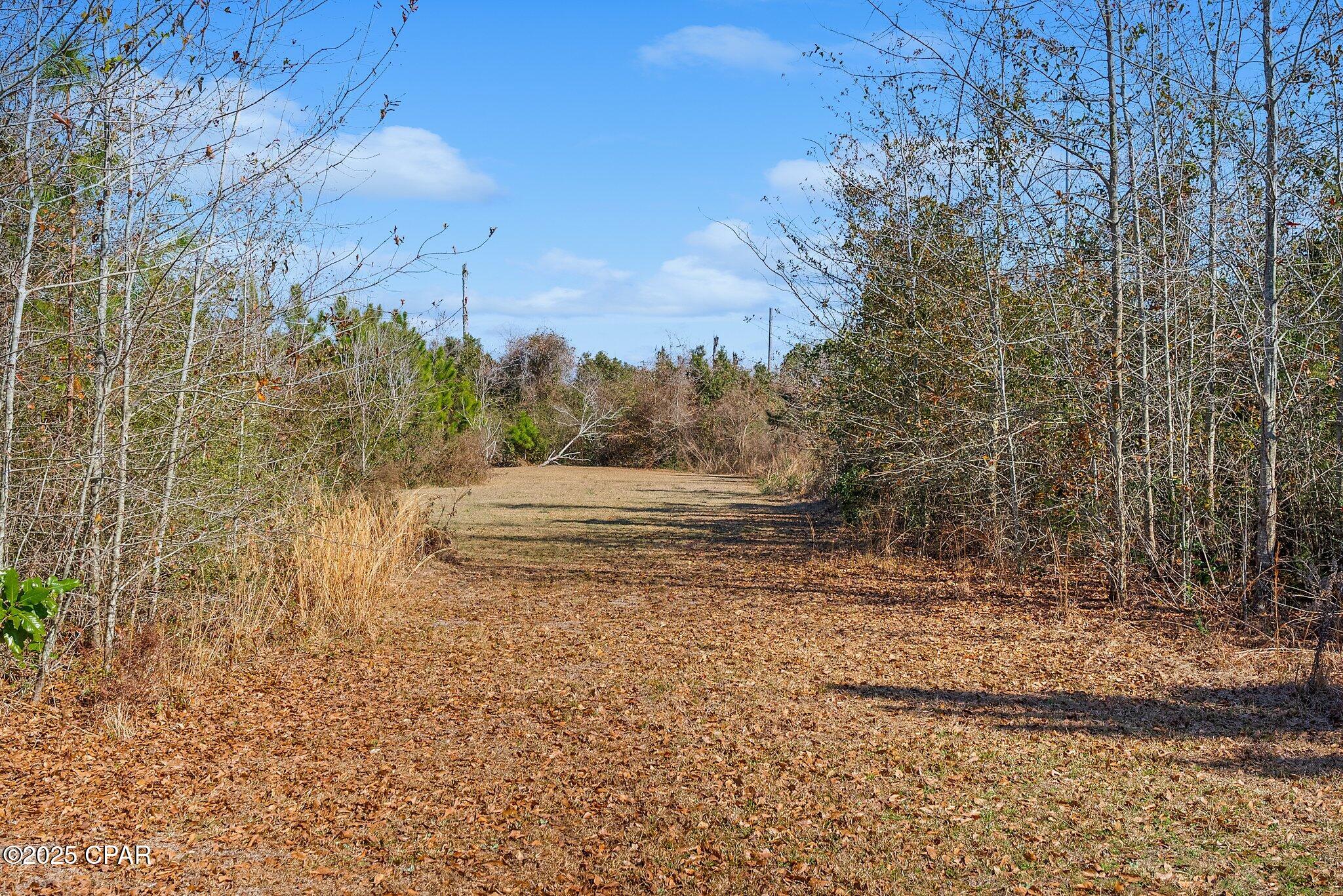 410 N Mary Ella Avenue, Panama City, Florida image 6