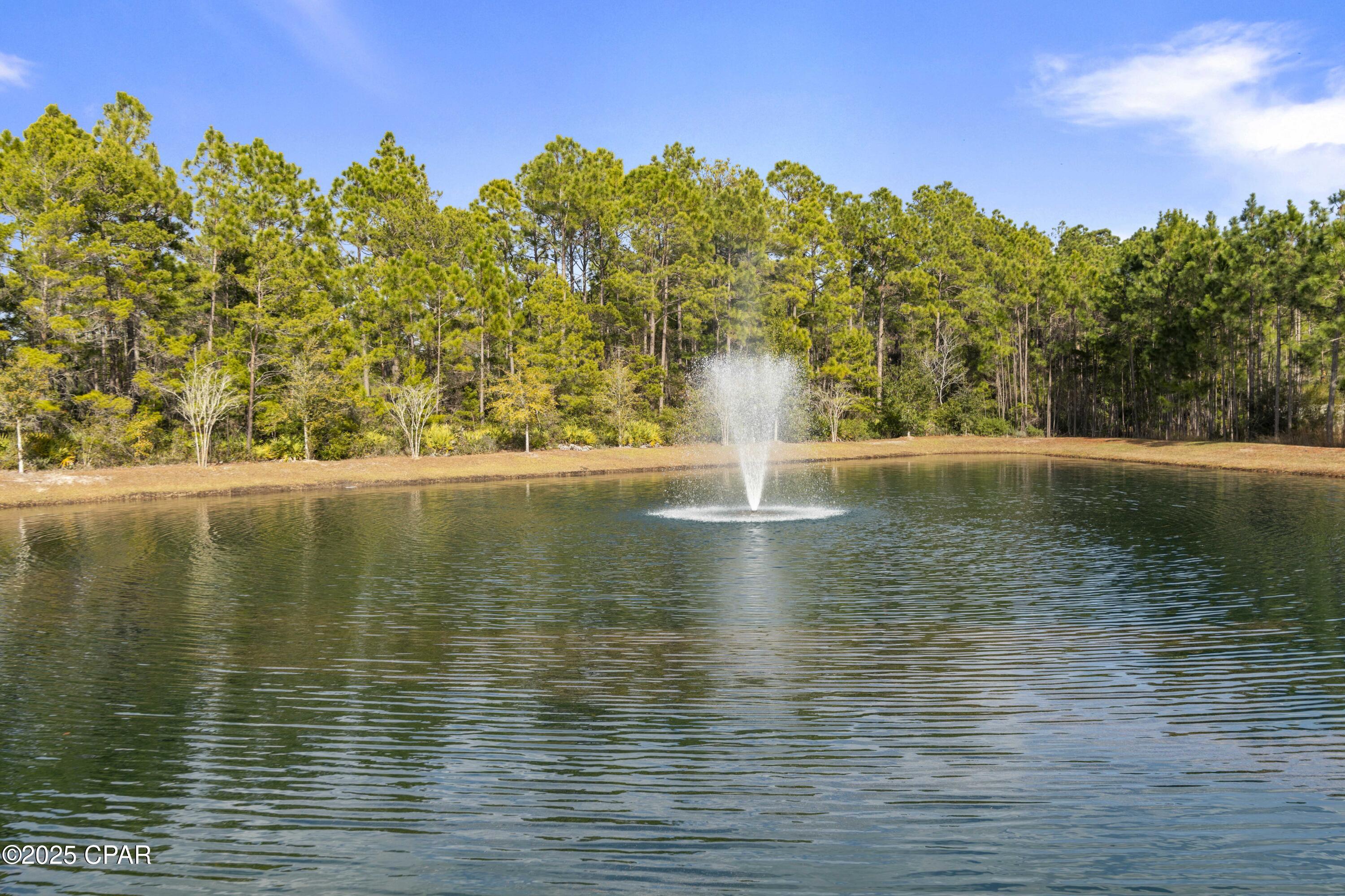 99 Stonegate Circle, Santa Rosa Beach, Florida image 6