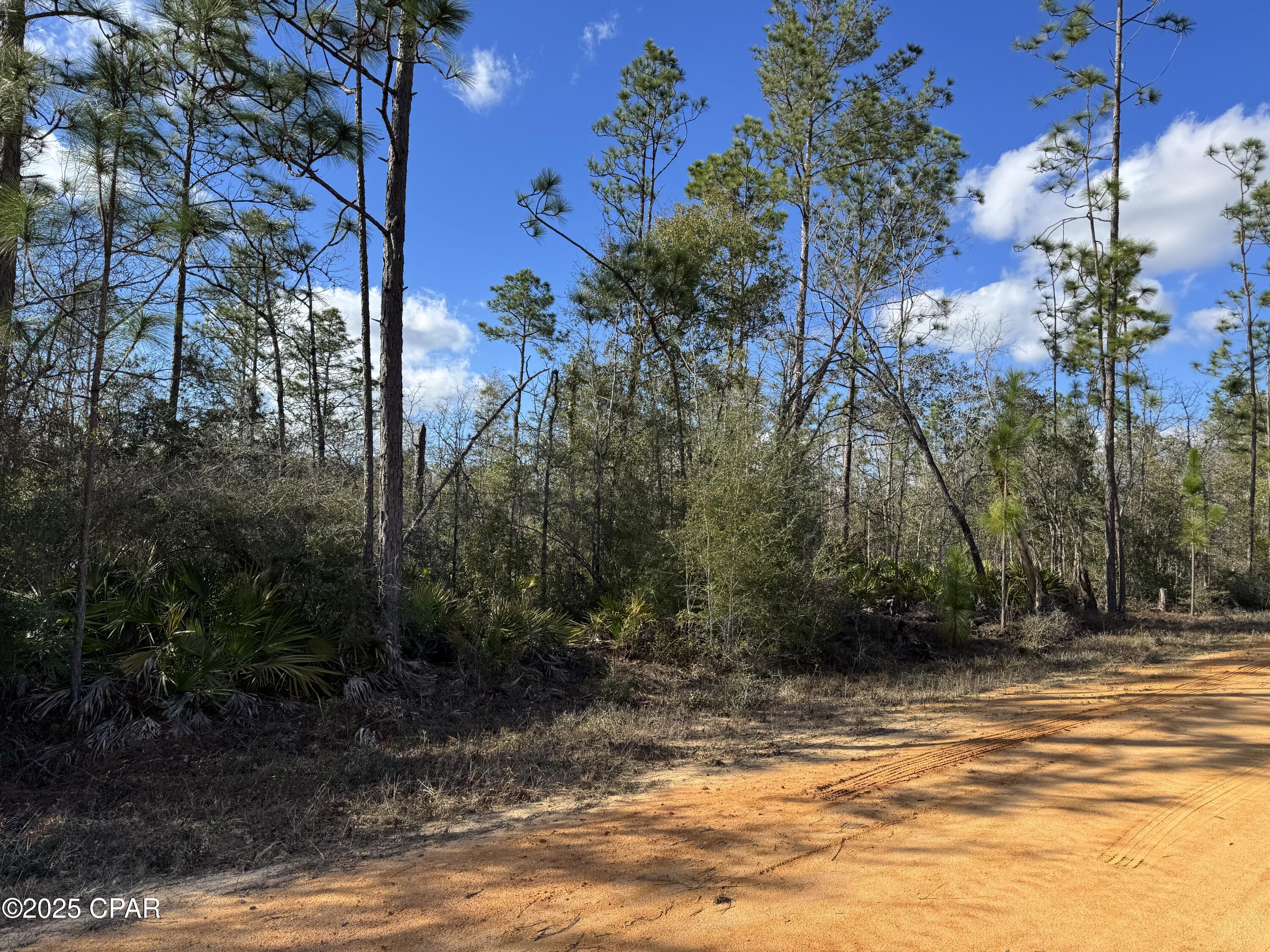 Monogahela Avenue, Alford, Florida image 3