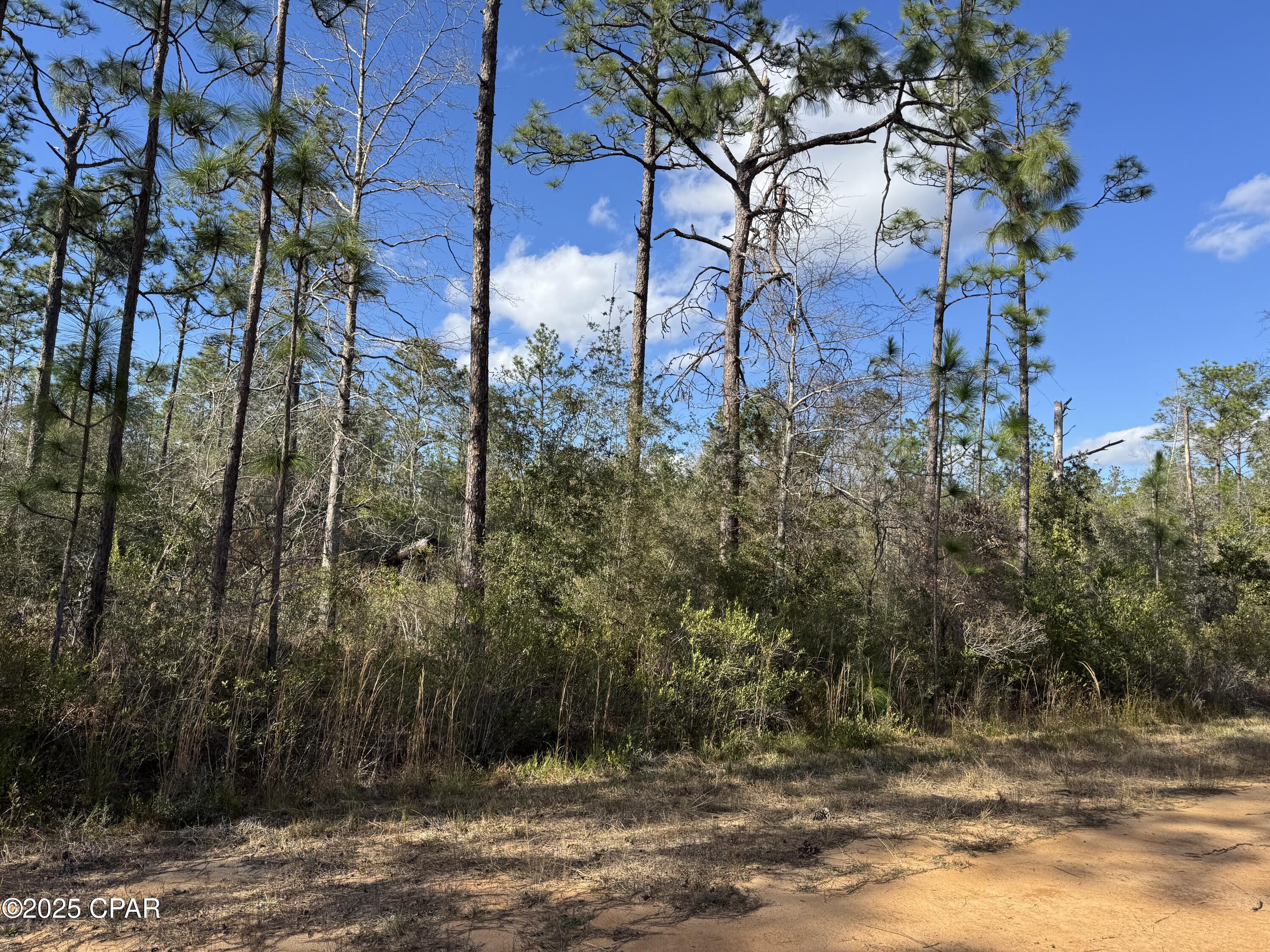 Grand Mesa Avenue, Alford, Florida image 2
